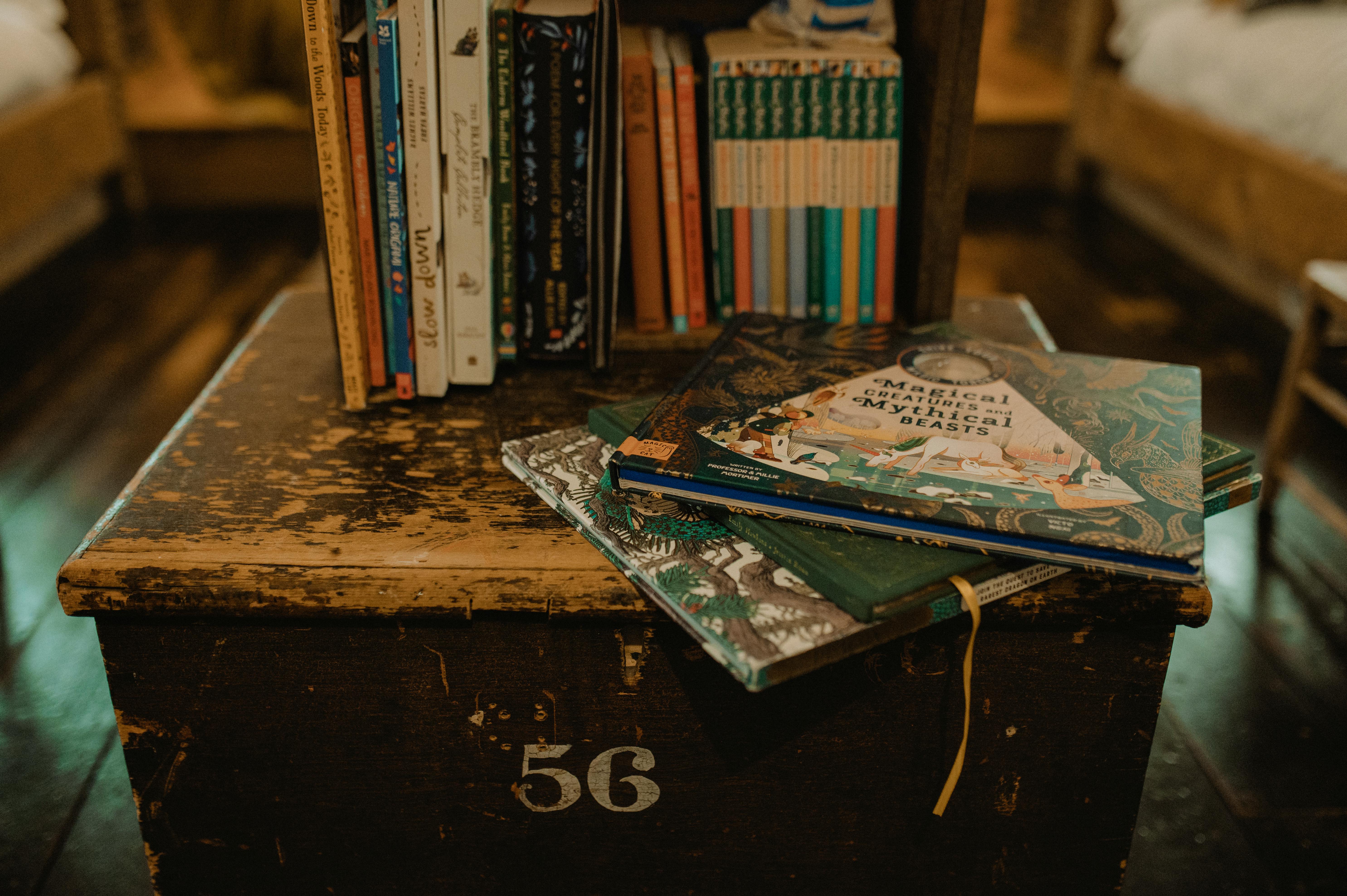 Children\'s books and toys galore