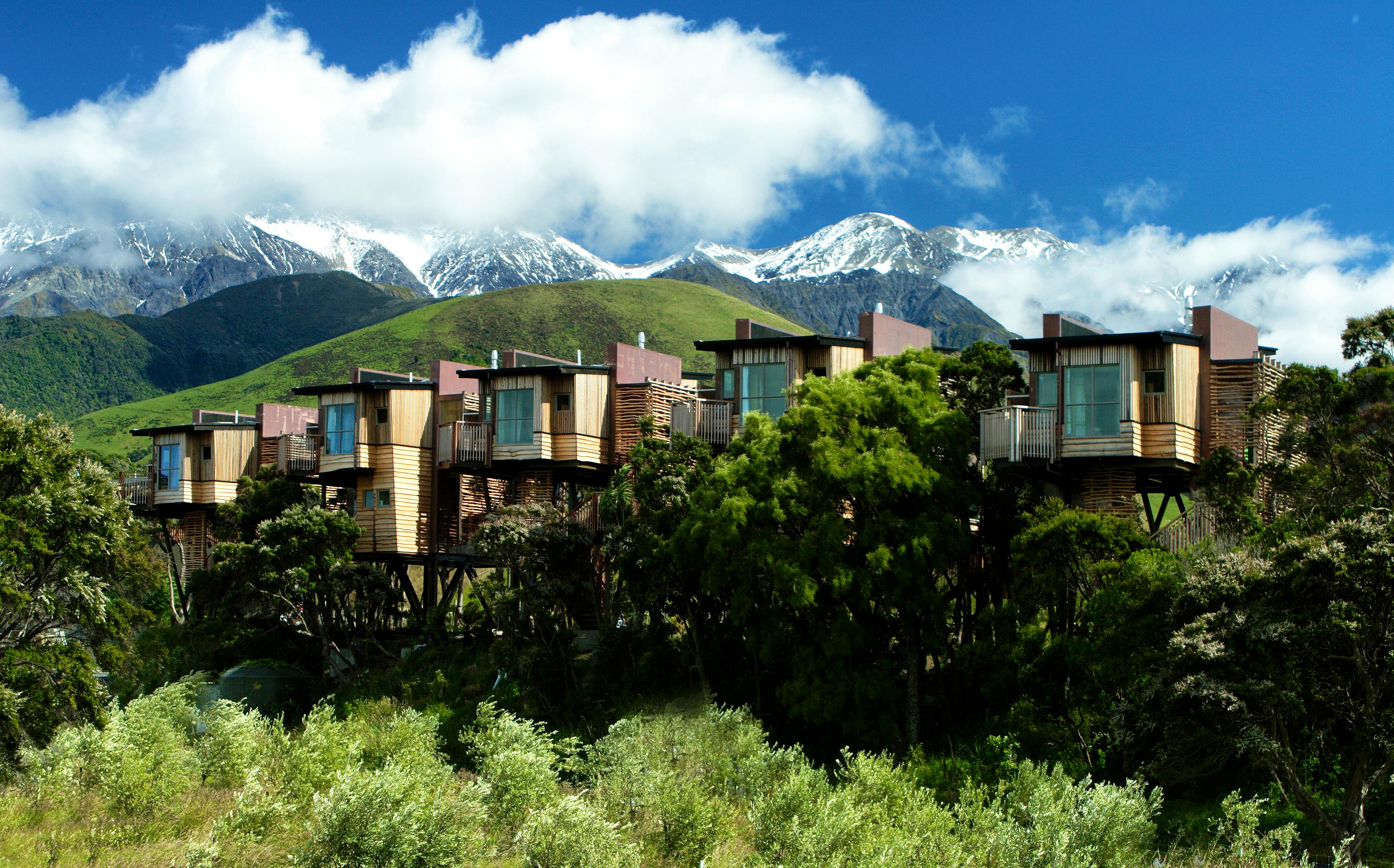 Hapuku Lodge & Tree Houses - Image 1