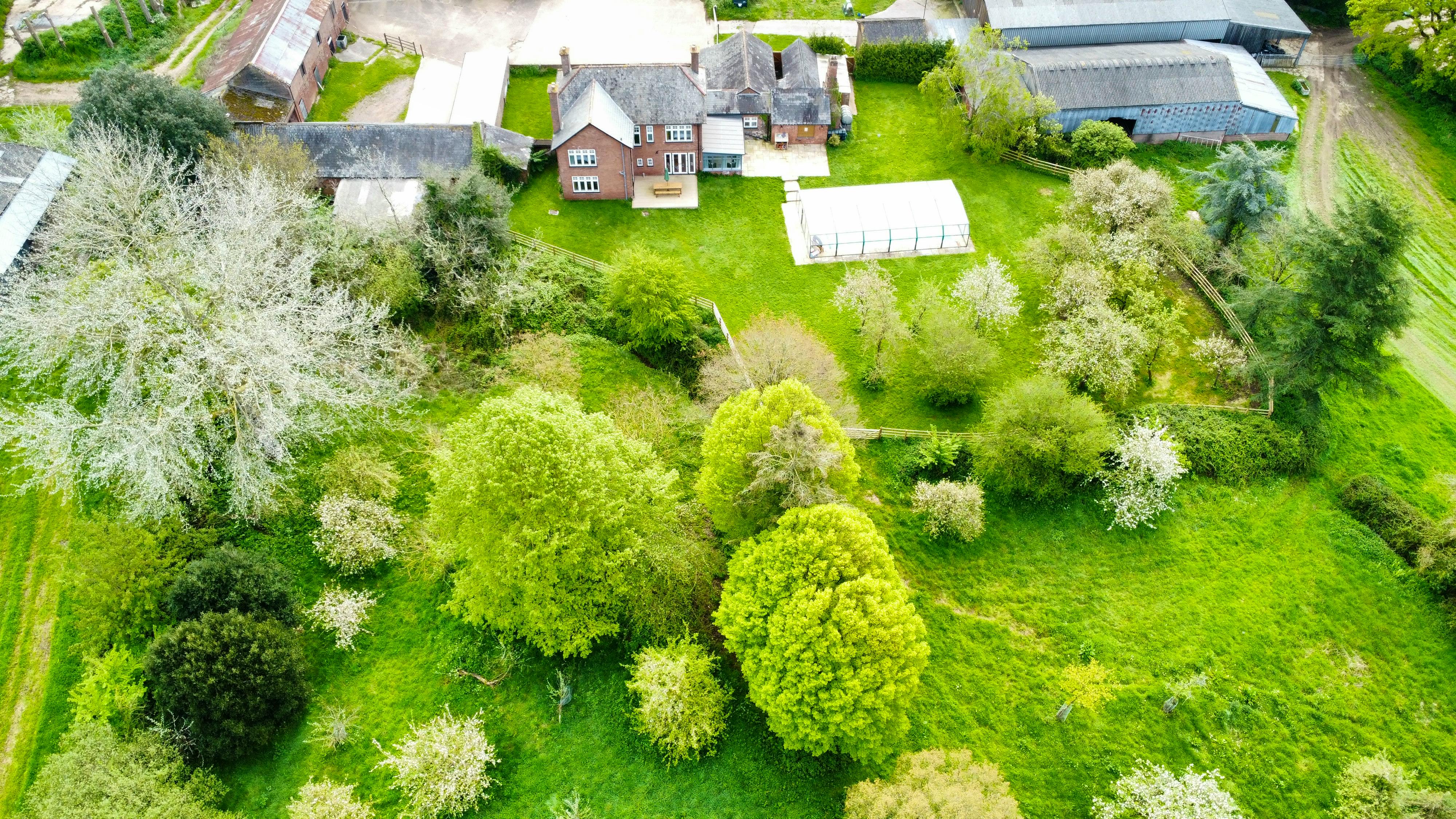 Beautiful orchard to rear