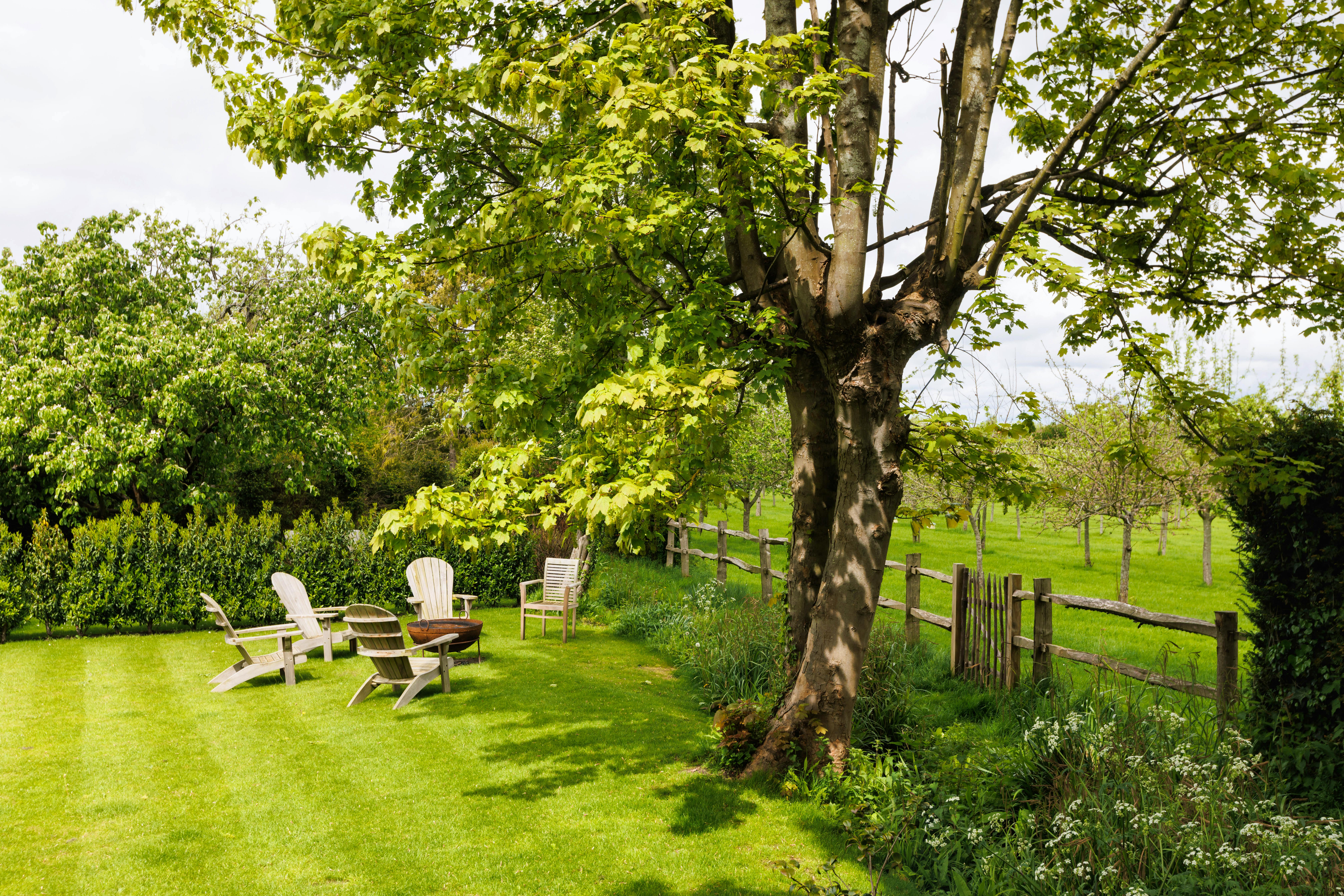 Garden with view of the orchard