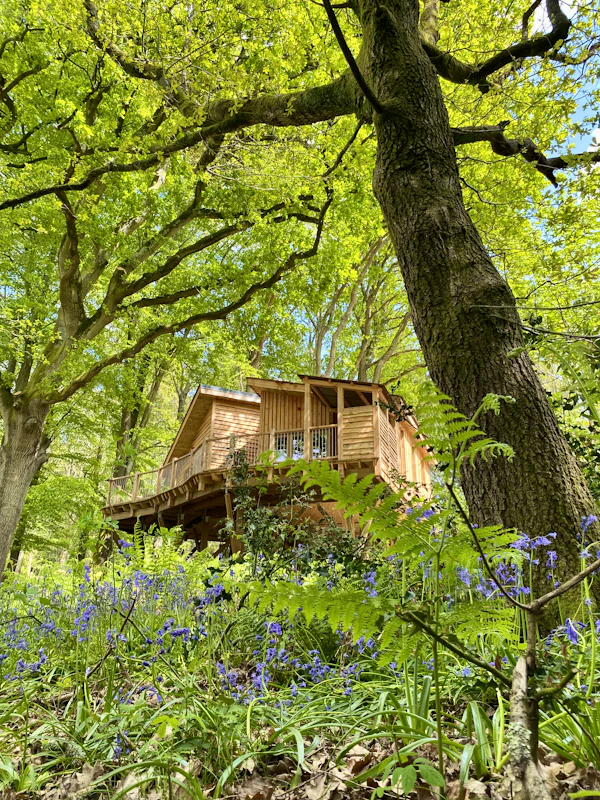 Tree House Retreats - Gorgeous treehouses in West Sussex