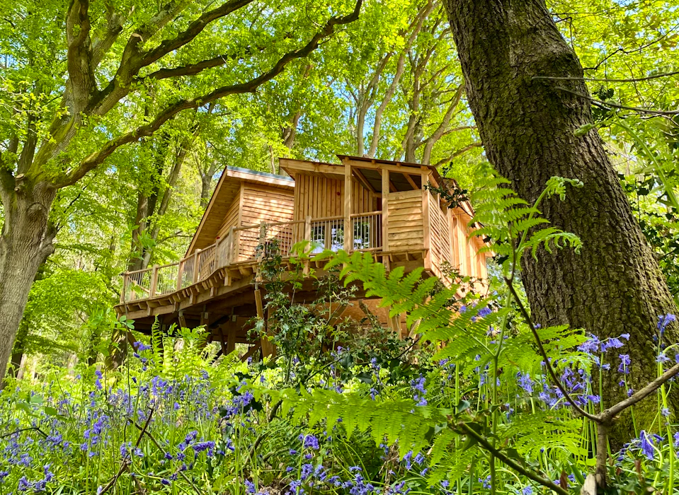 Treehouses with Summer Space