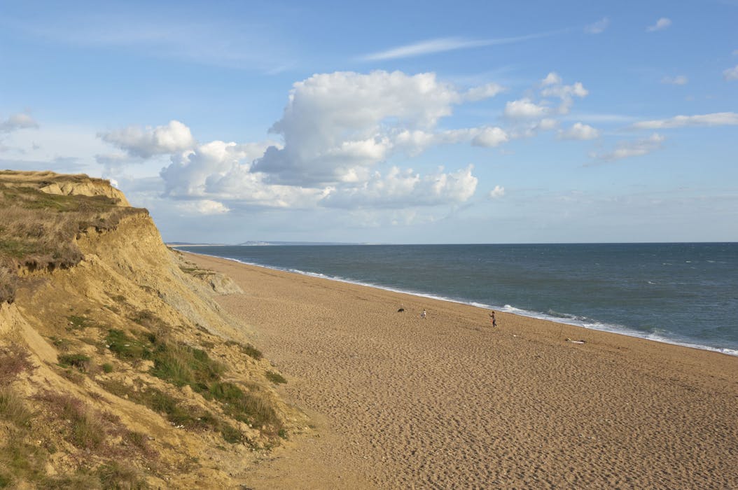 Hive Beach House Cool Dorset Beach House CoolStays