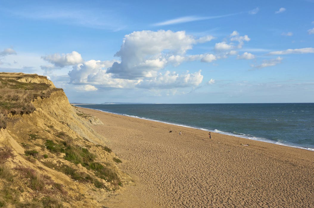 Hive Beach House Cool Dorset Beach House CoolStays