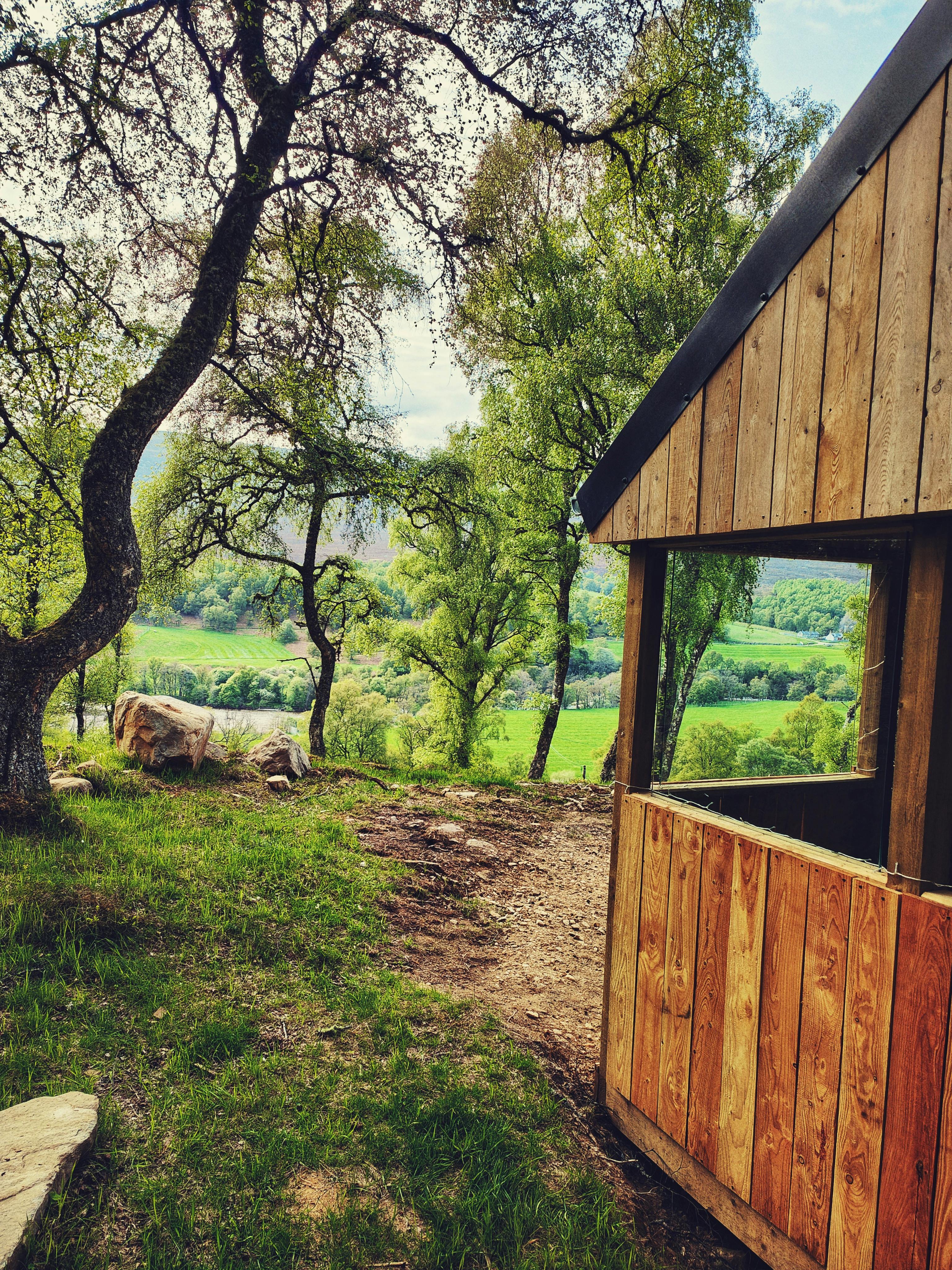 UK Stays to See the Northern Lights