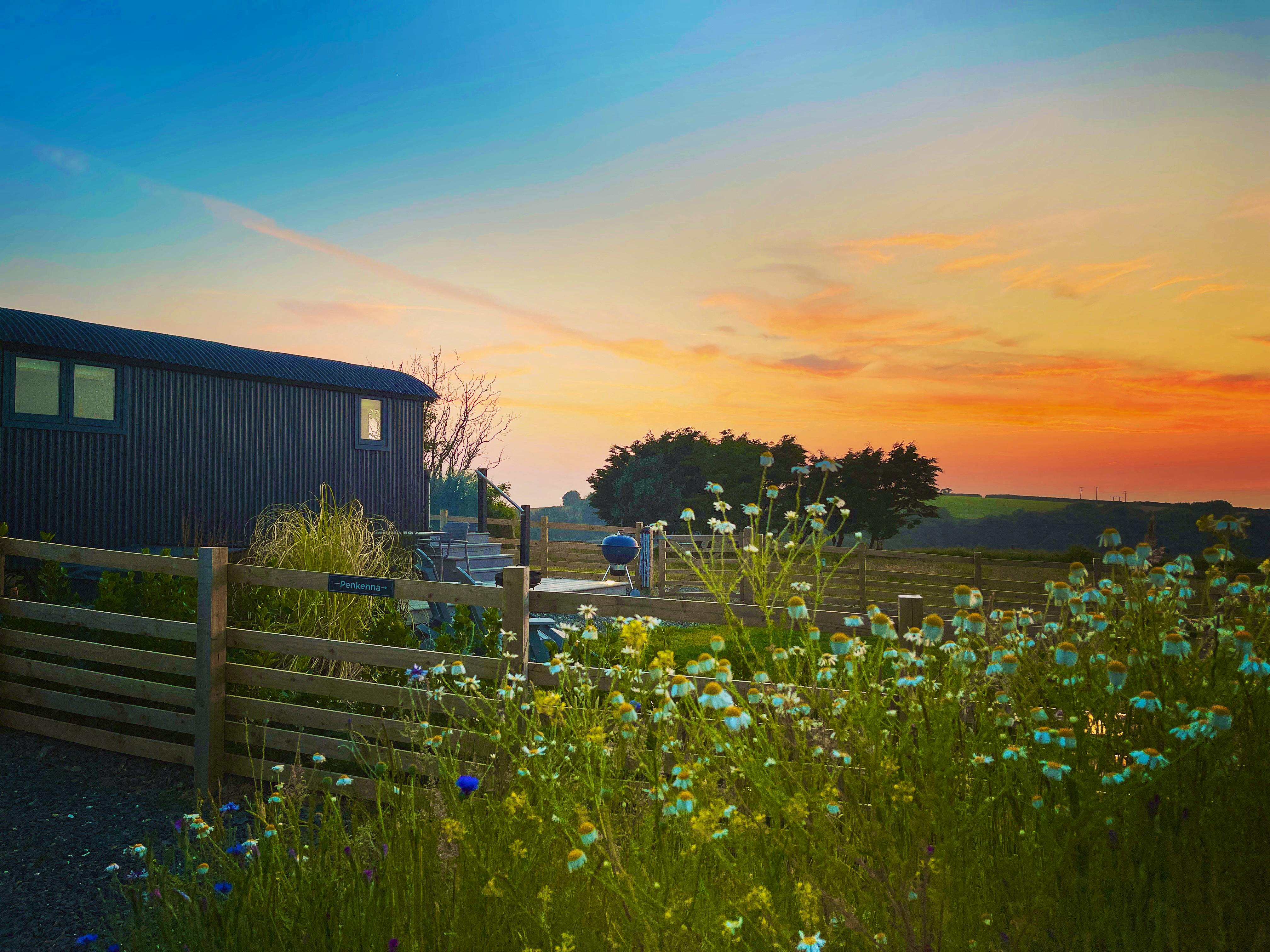 16 Dog-Friendly Glamping Spots