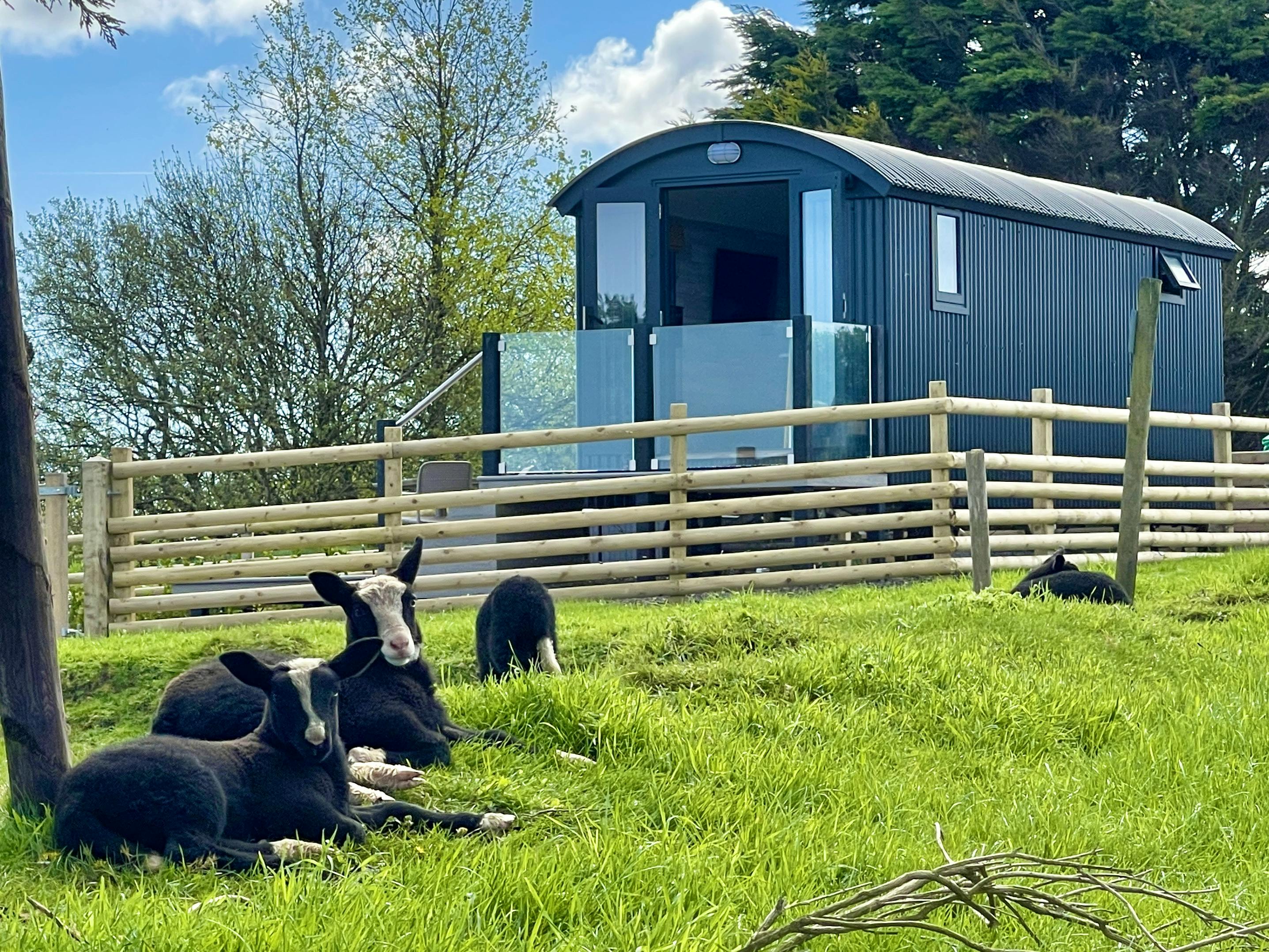 Happy Campers - 20 Gorgeous UK Glamping Spots