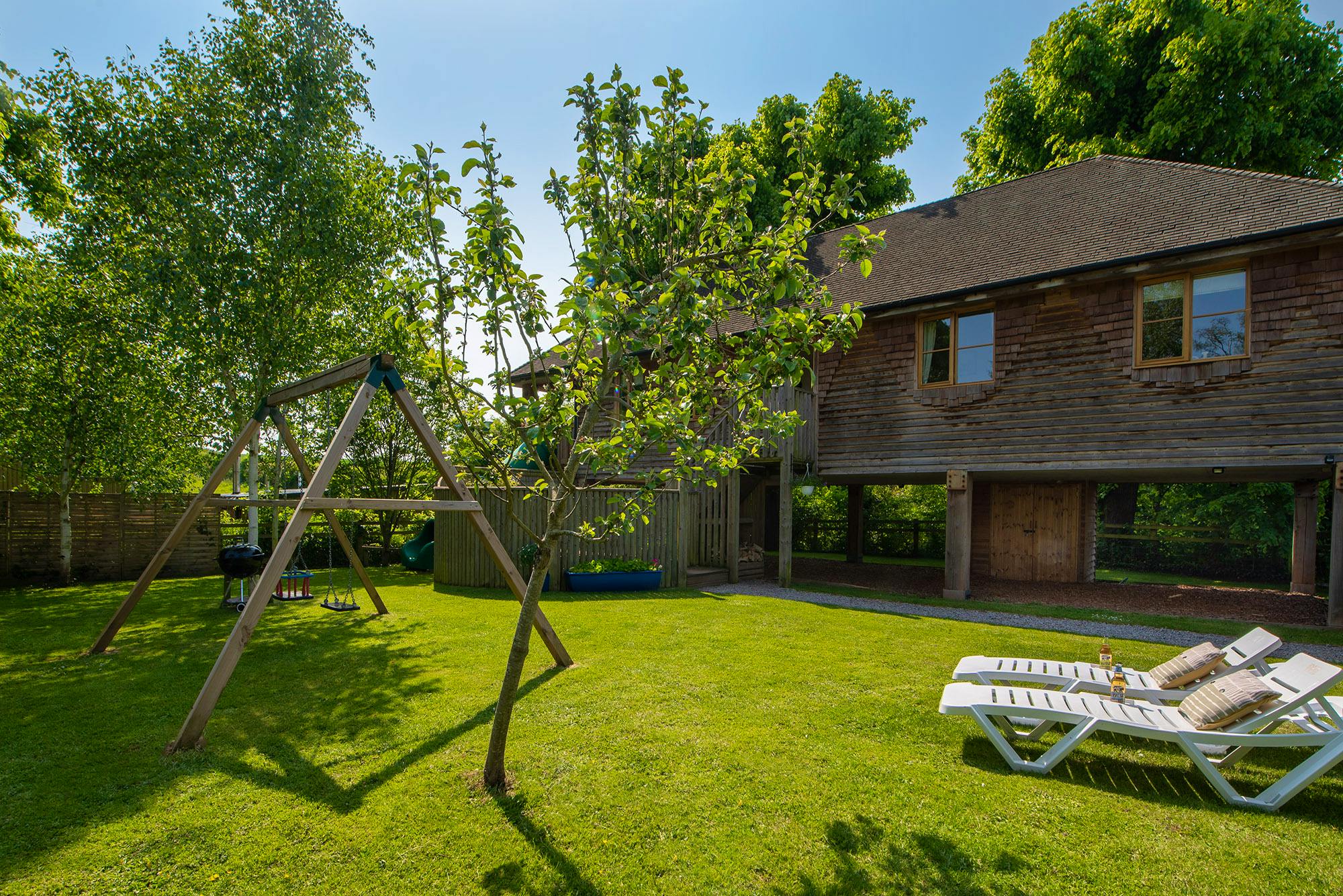 Apple Tree at The Apple Treehouse 
