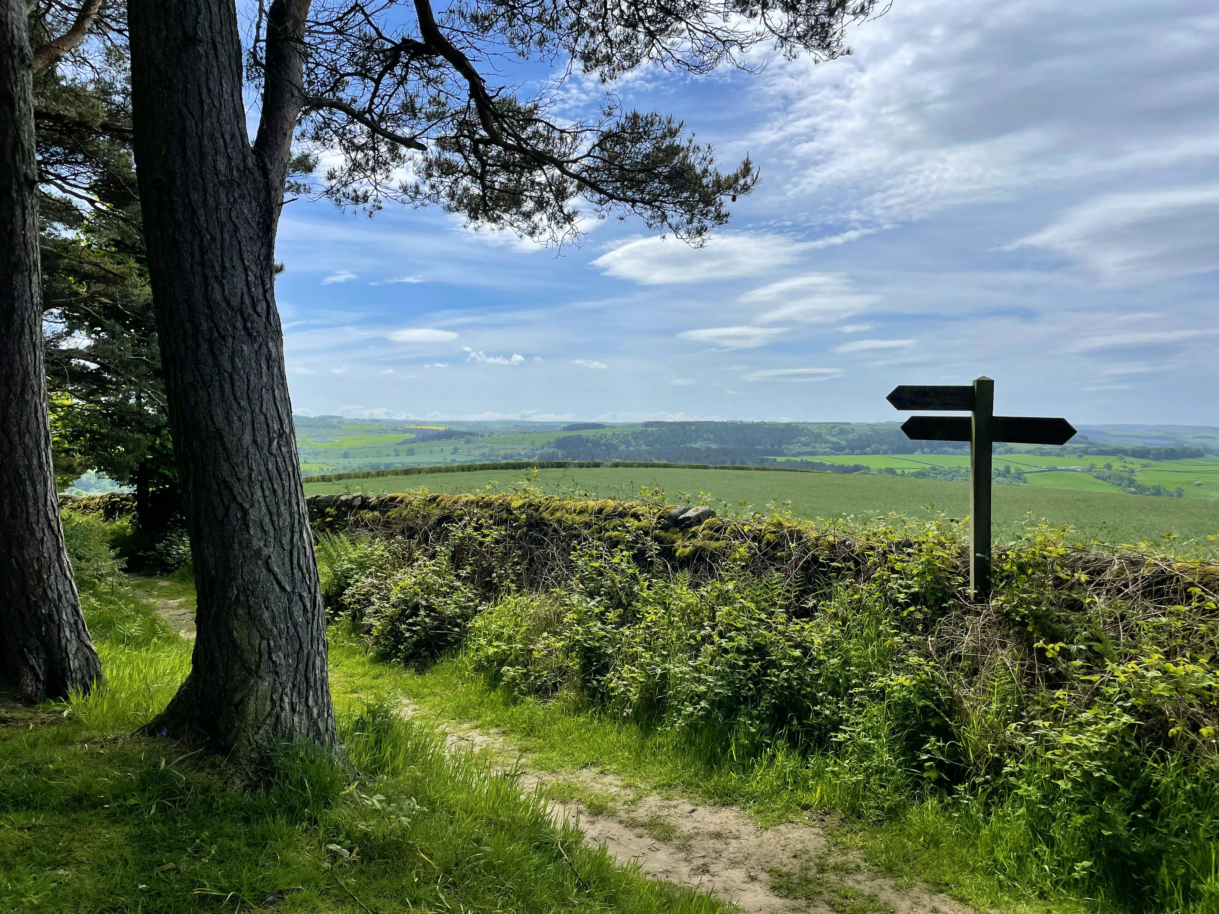 Plenty of walks in the countryside 