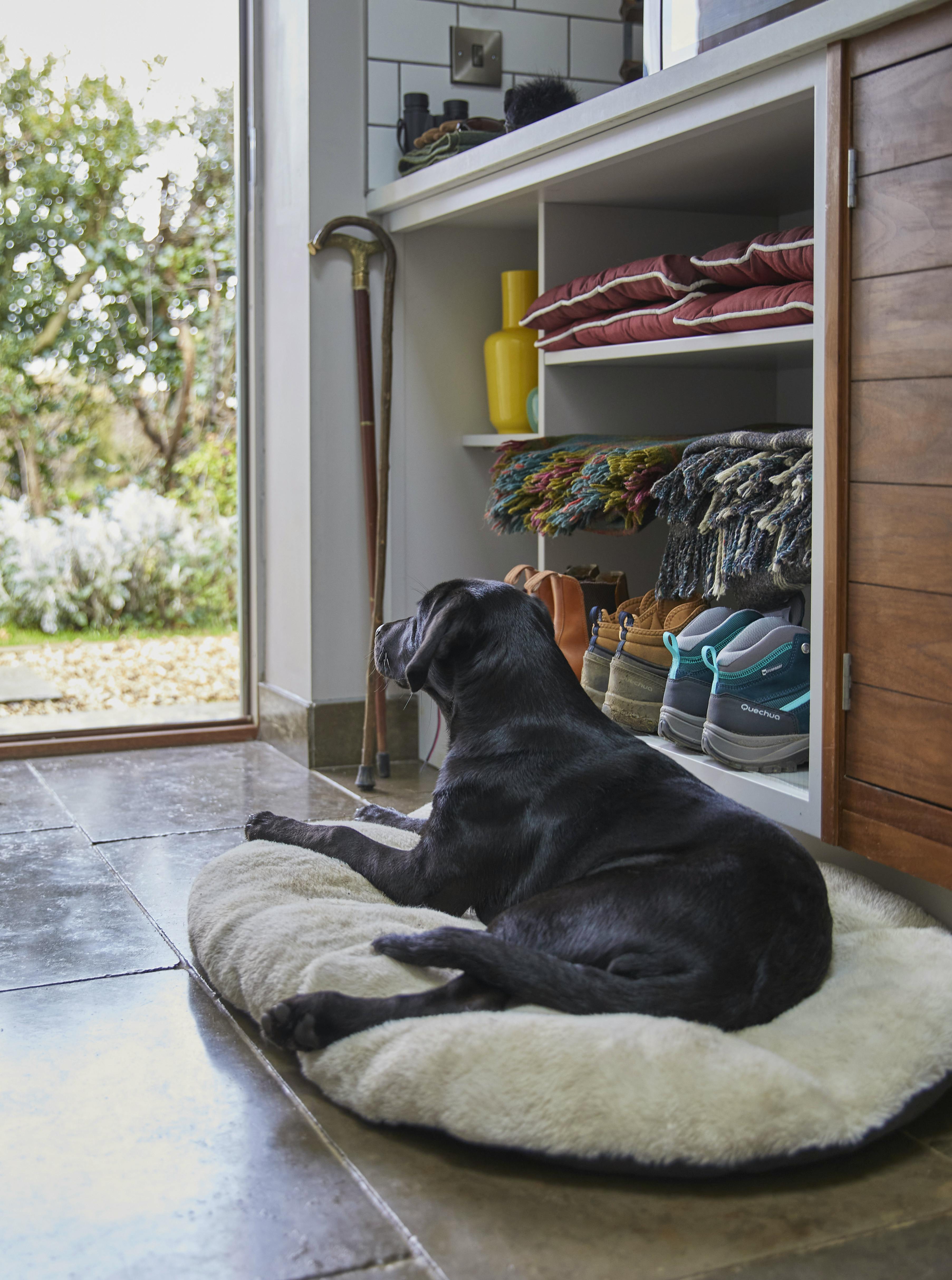 Boot and Utility Room