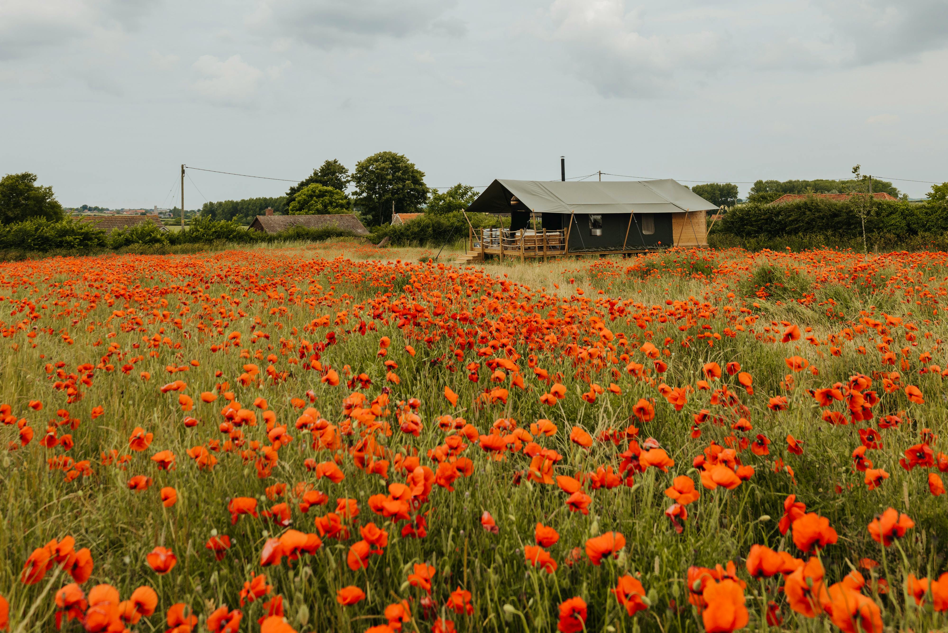 15 Places for a Late Summer Weekend