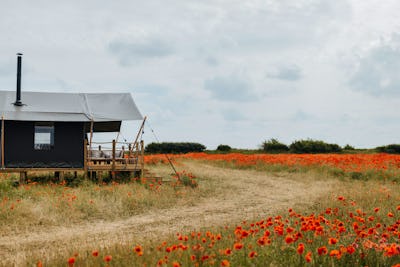 Cottages