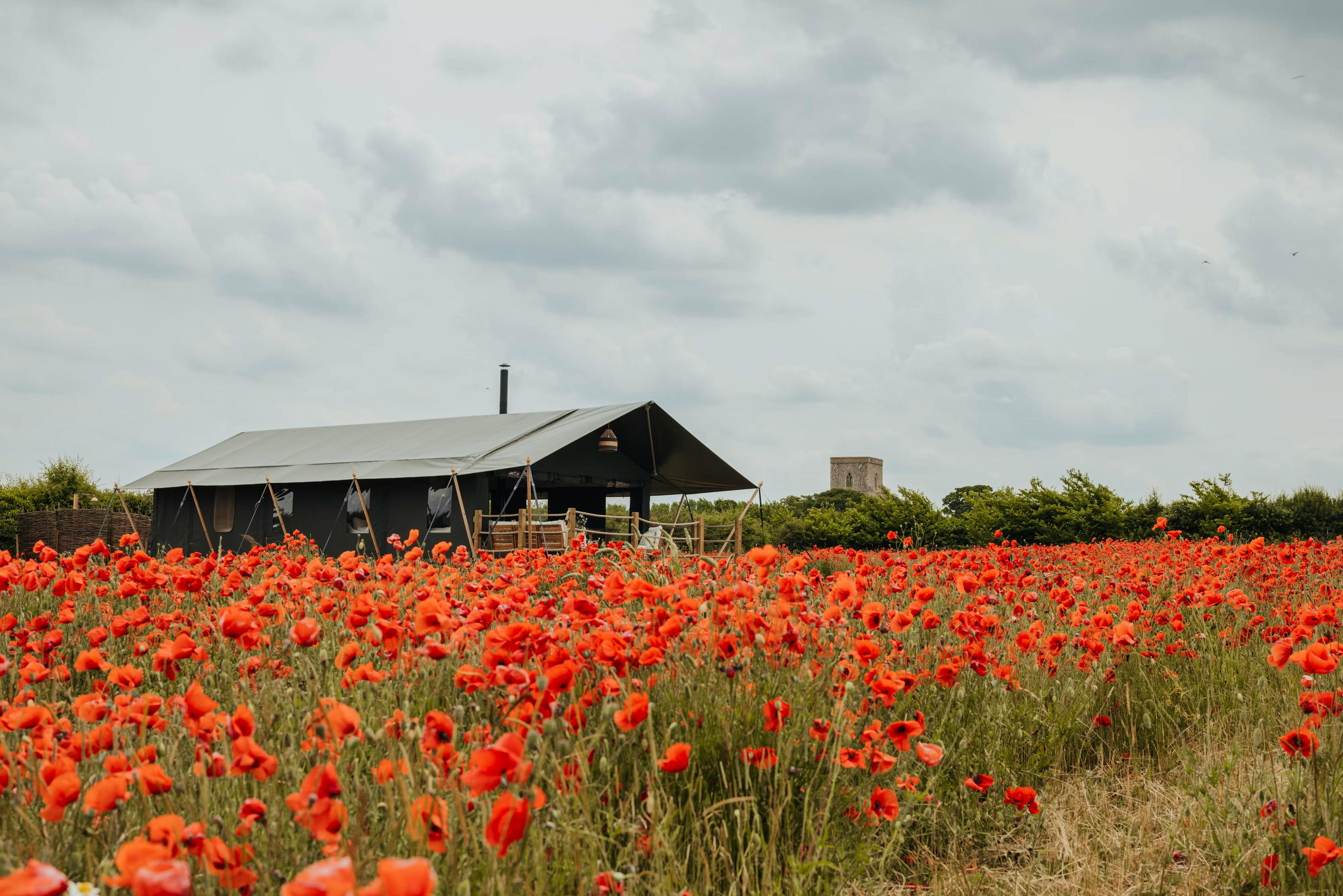 24 of the Best UK Glamping Sites