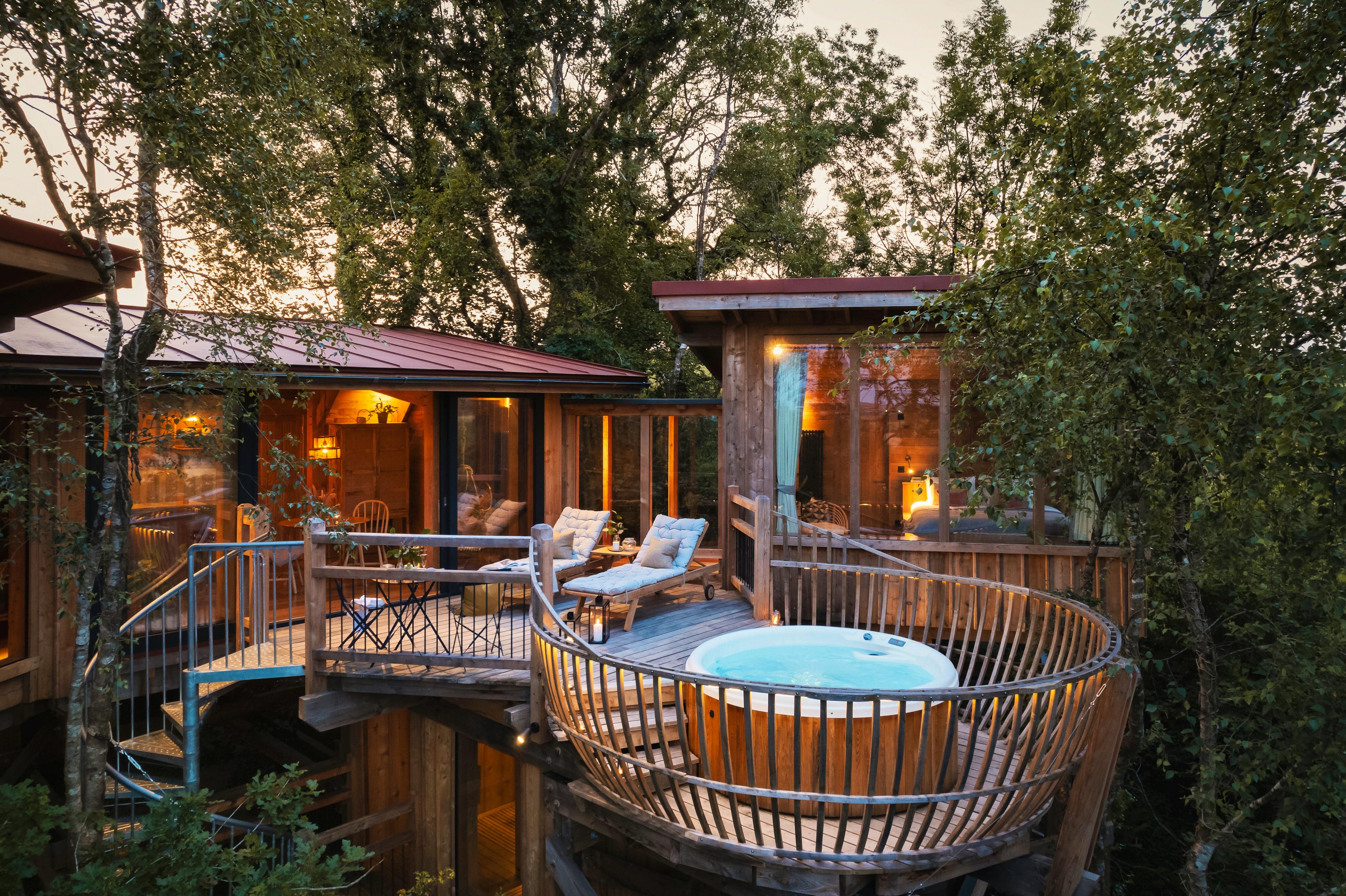 Wolf Wood Spa Treehouse - Image 1