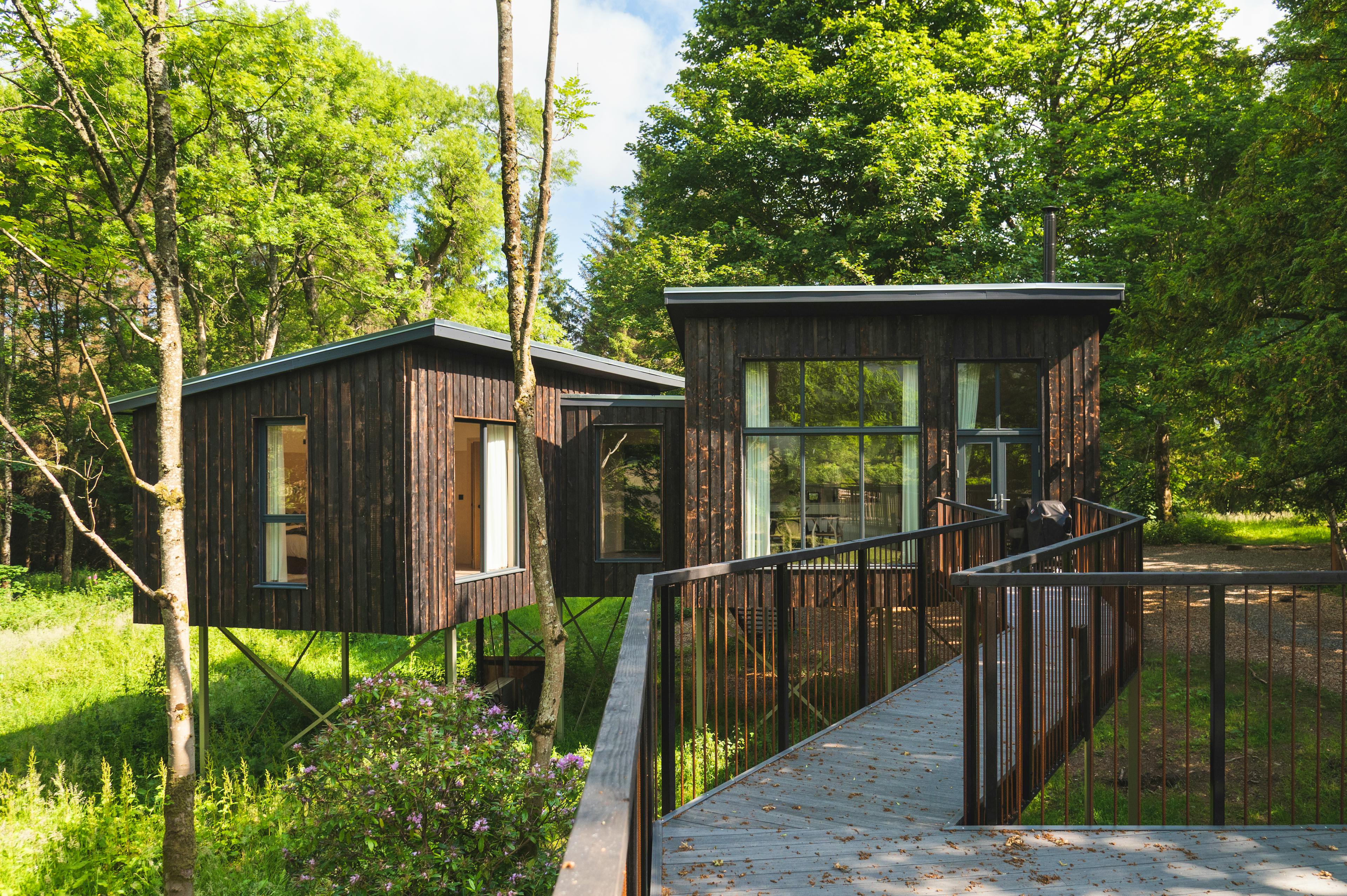 Leckie Treehouses - Image 5