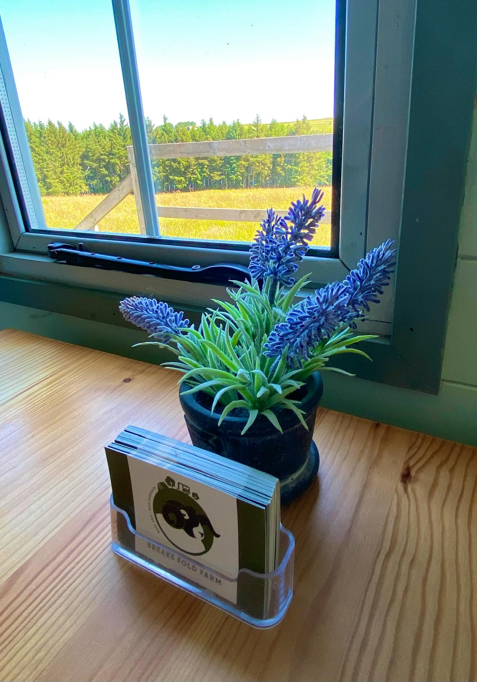 Swaledale Shepherd Hut