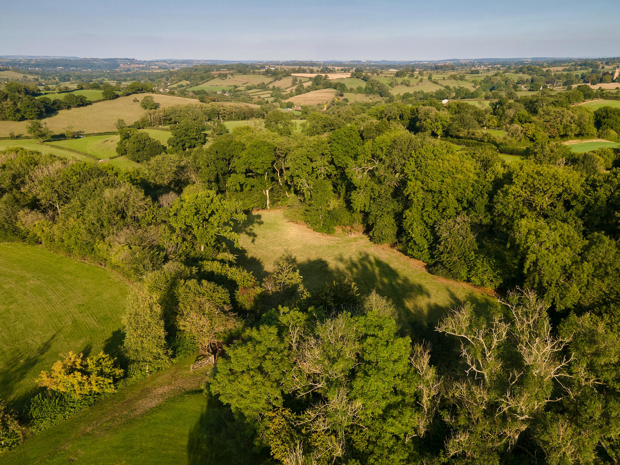 Lilycombe is in an AONB