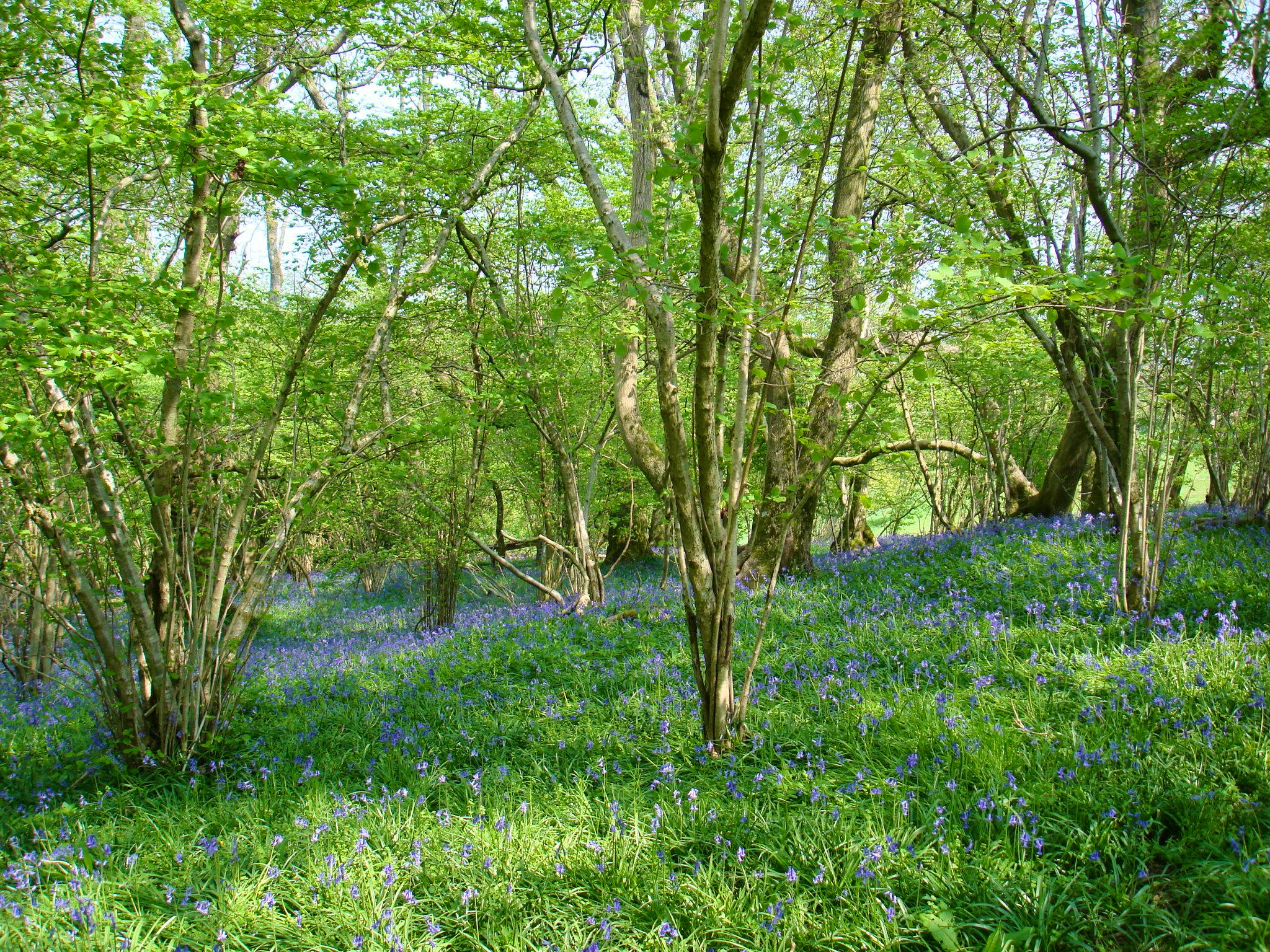 Beautiful walks on our doorstep