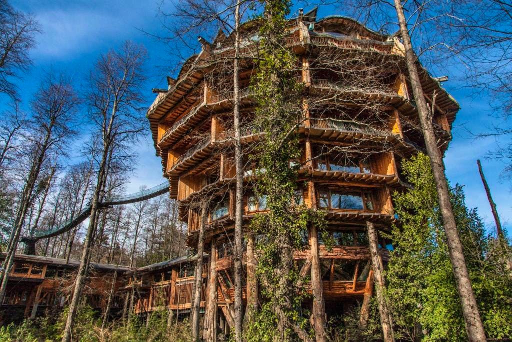 One for the Wine Lovers