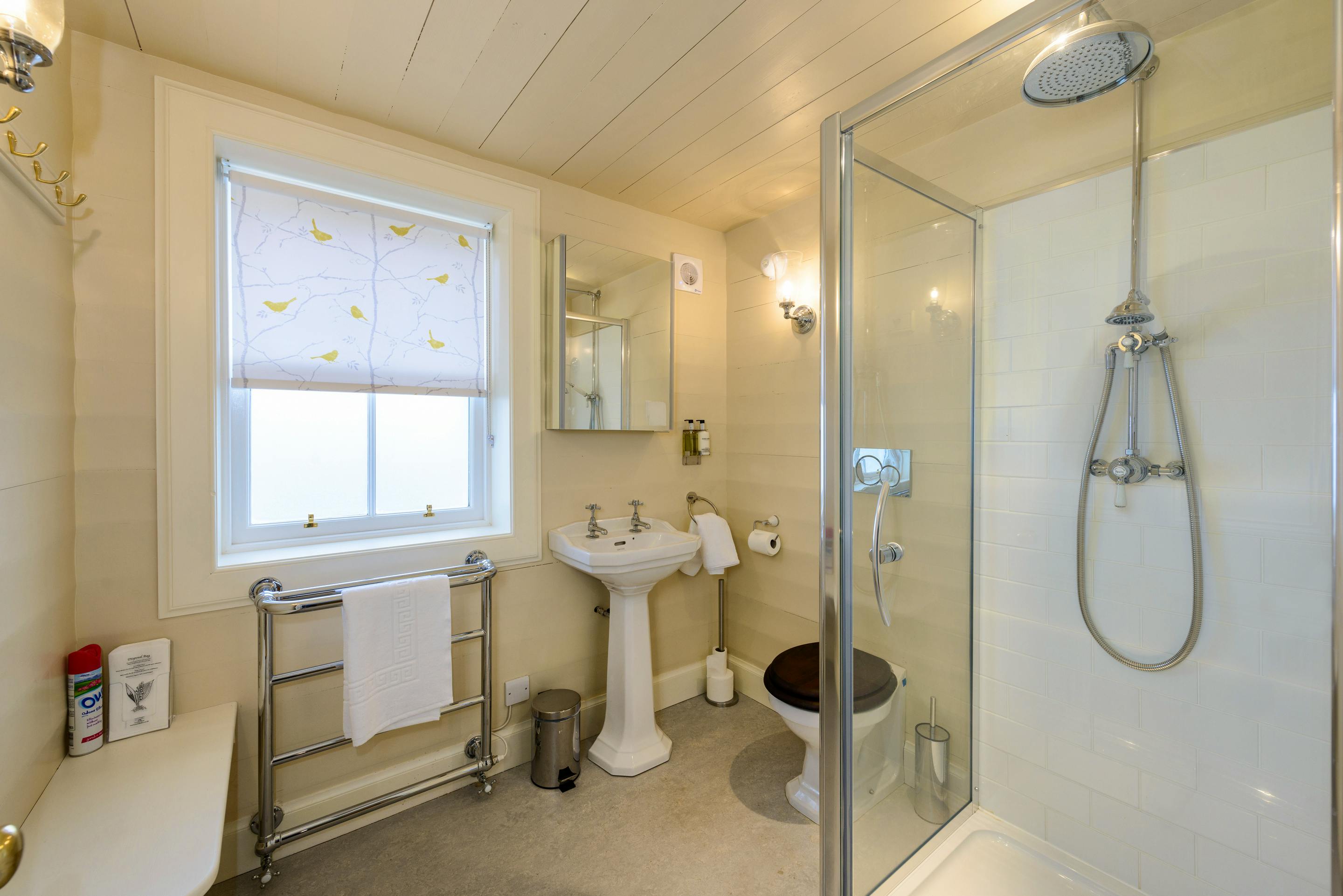 Downstairs Shower Room