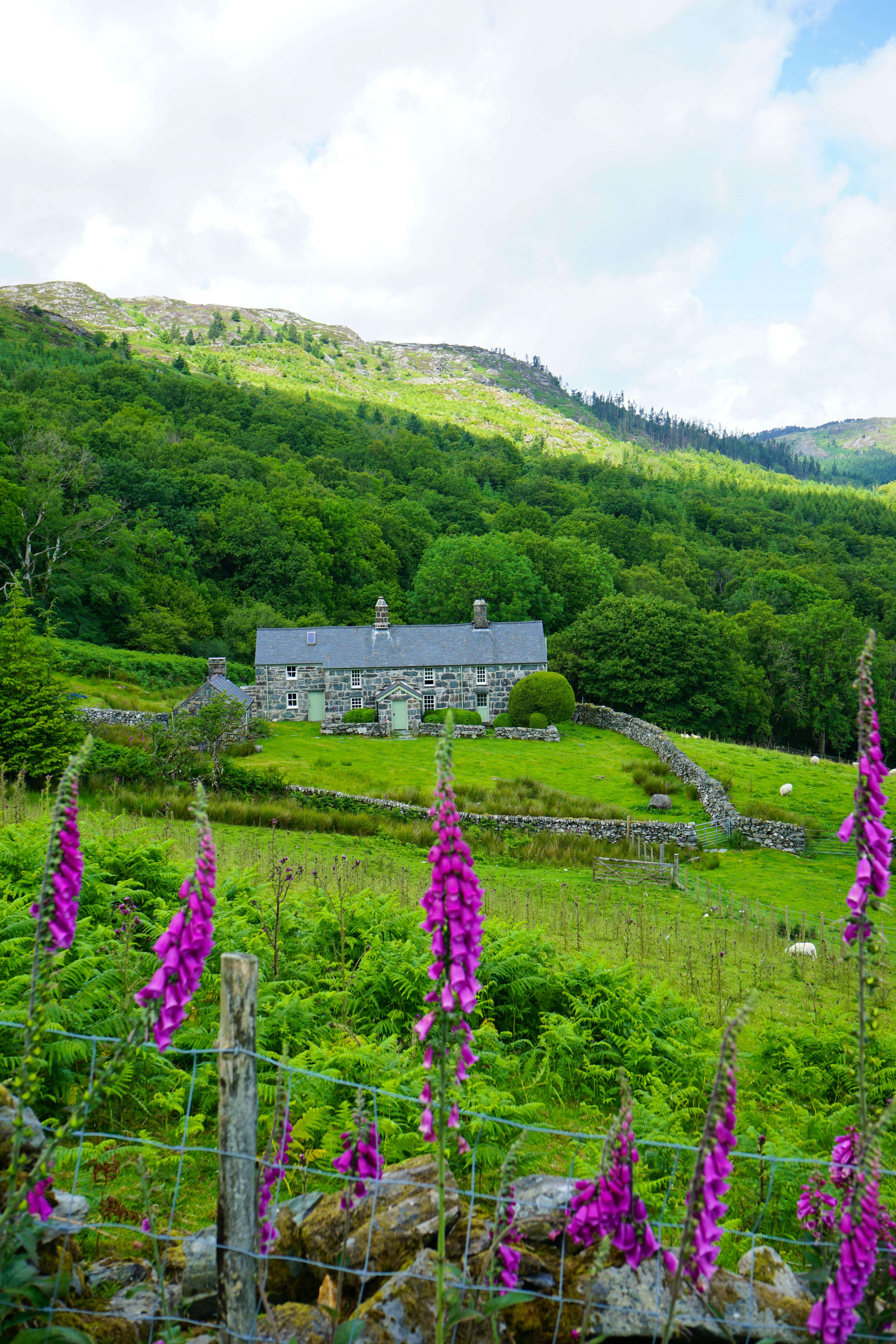 Our Latest Coolstays