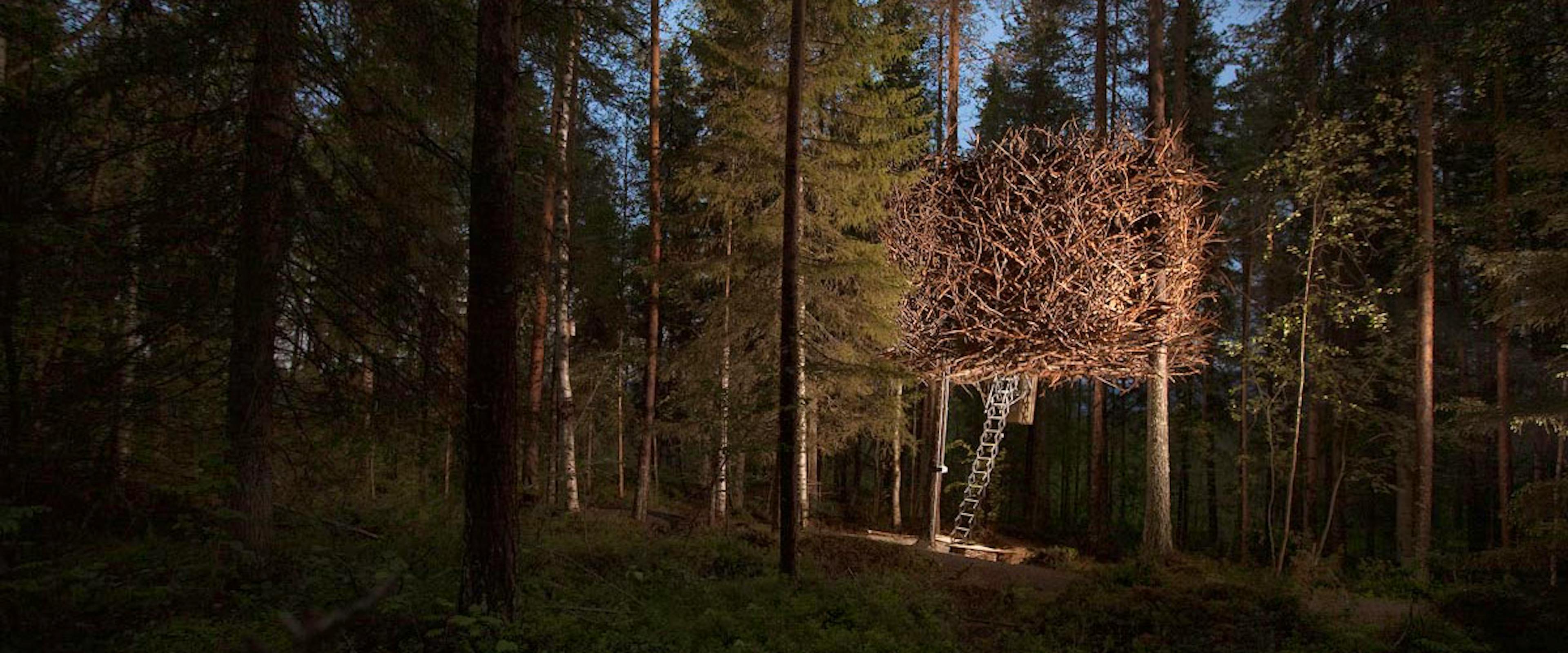 Tree Hotel - Image 4