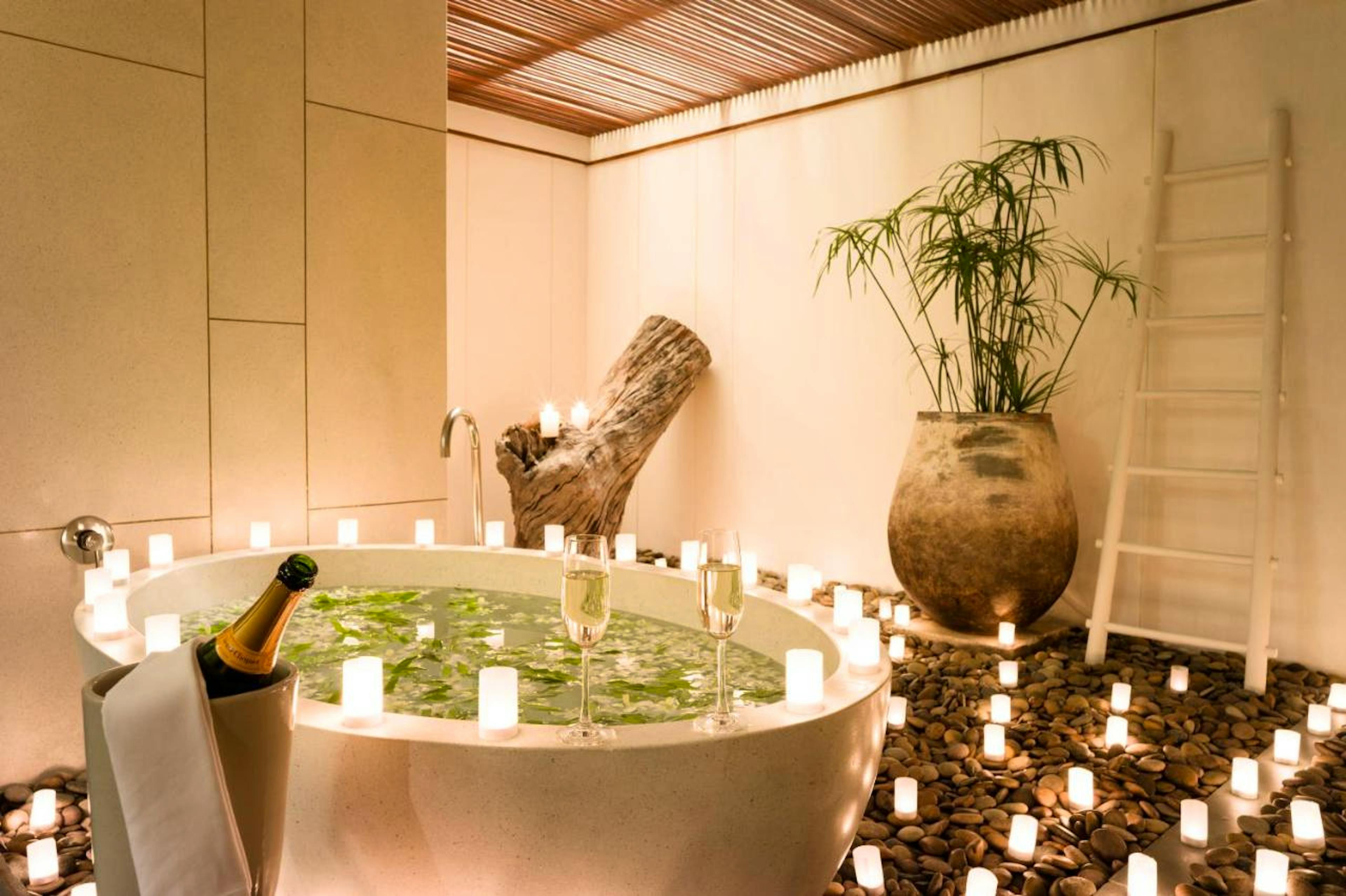 The Sarojin - Image 6