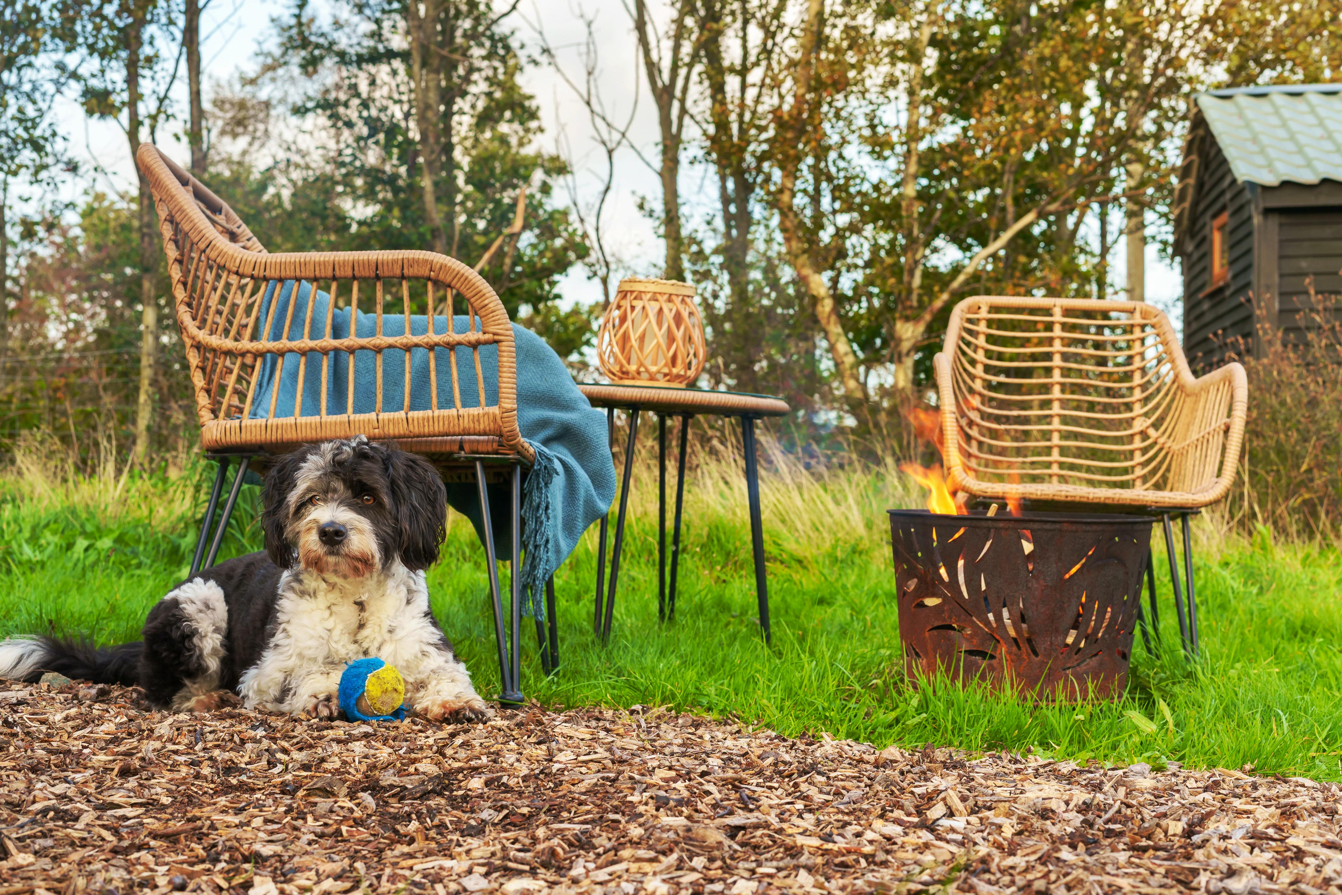 Caban y Gors_dog friendly