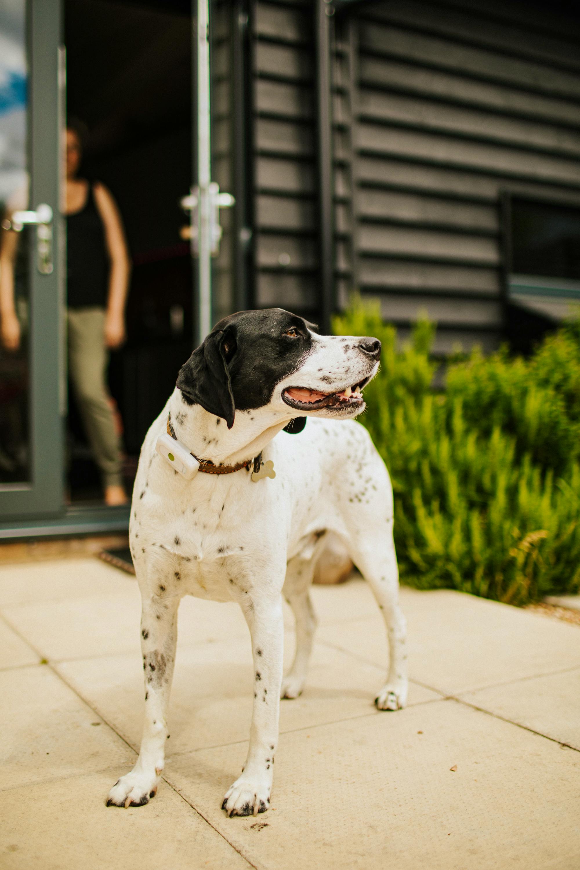 Bethnal & Bec are Dog Friendly