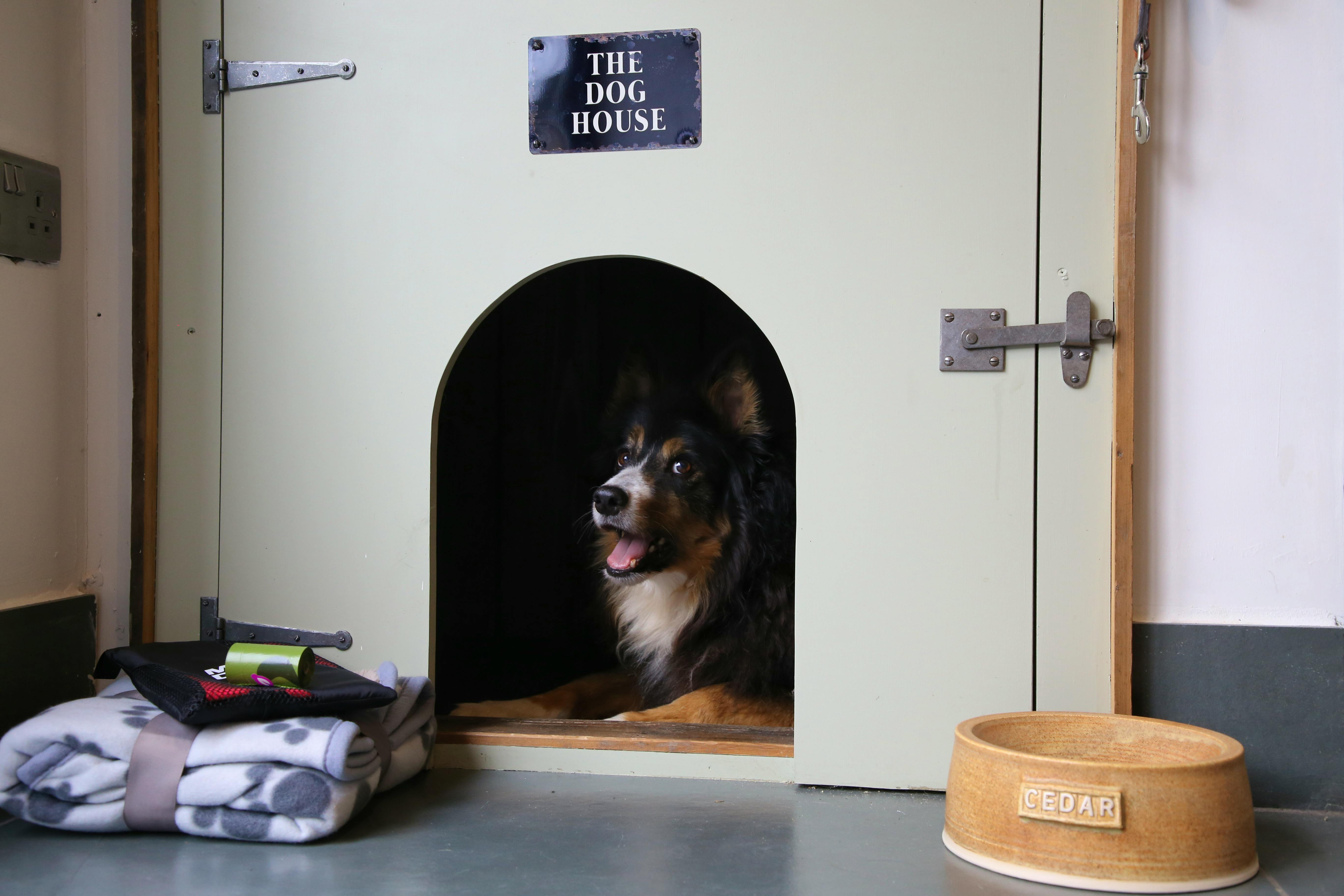 Your dog has it’s own dog house!