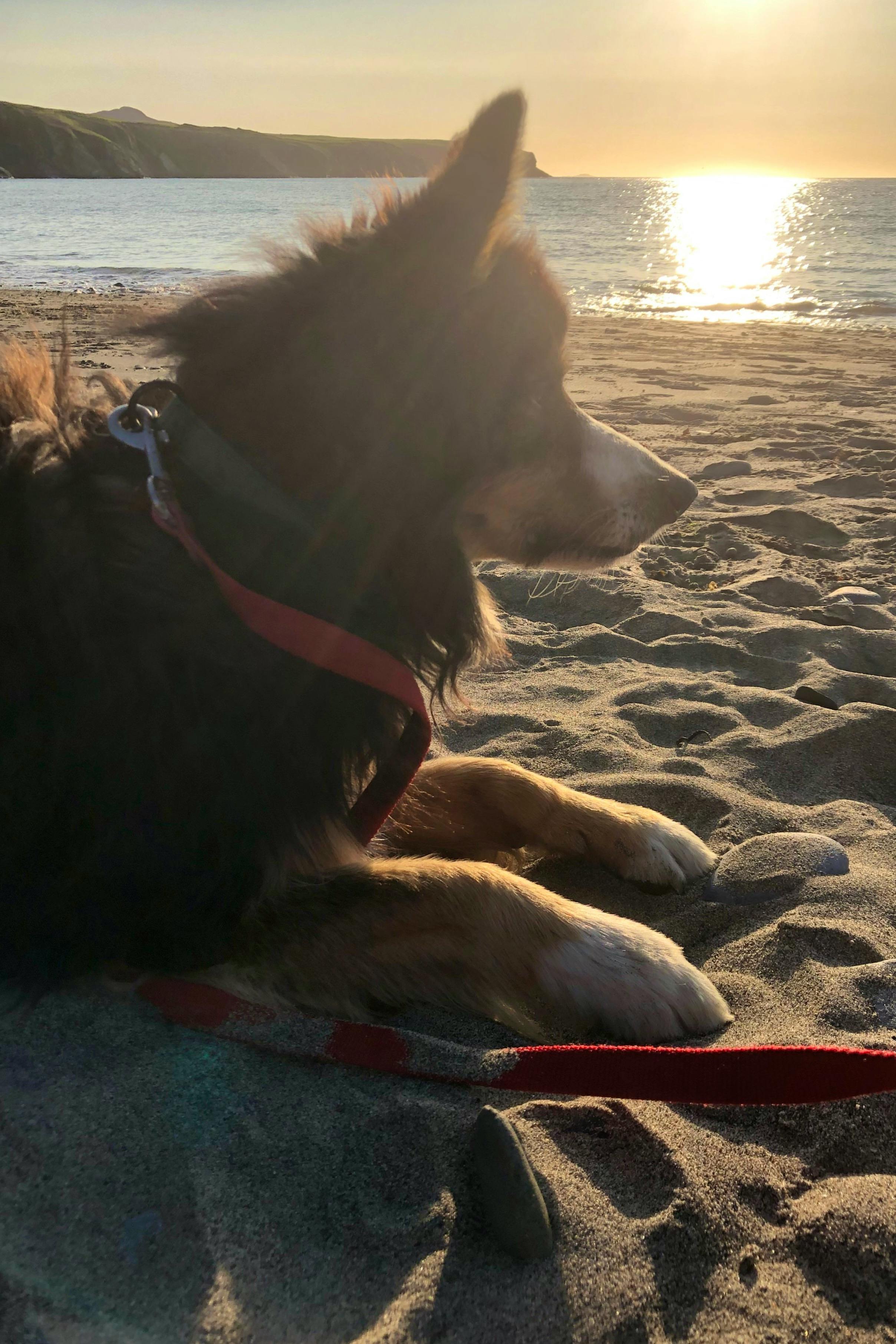 Perfect evenings on the beach