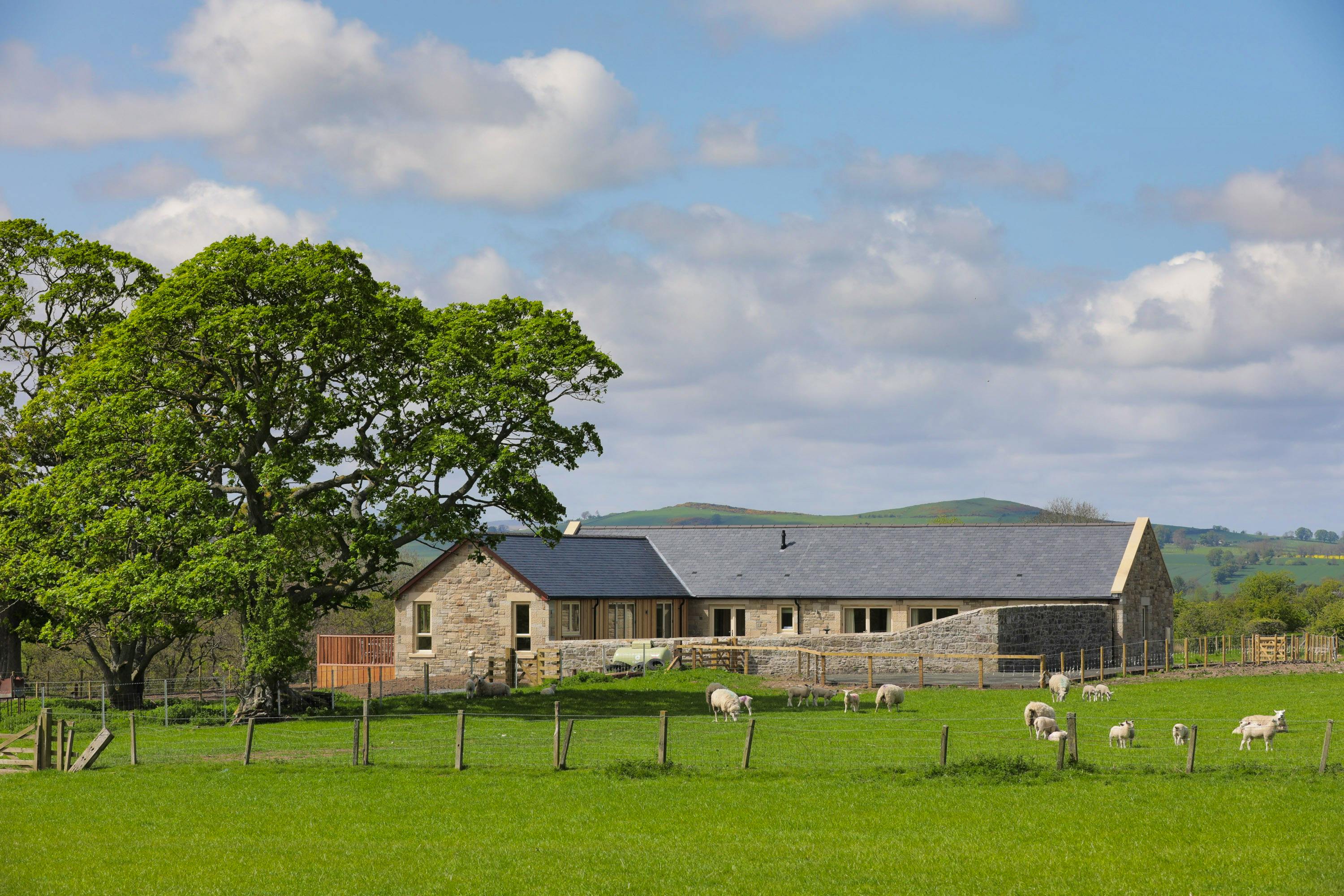 This Week's New Coolstays