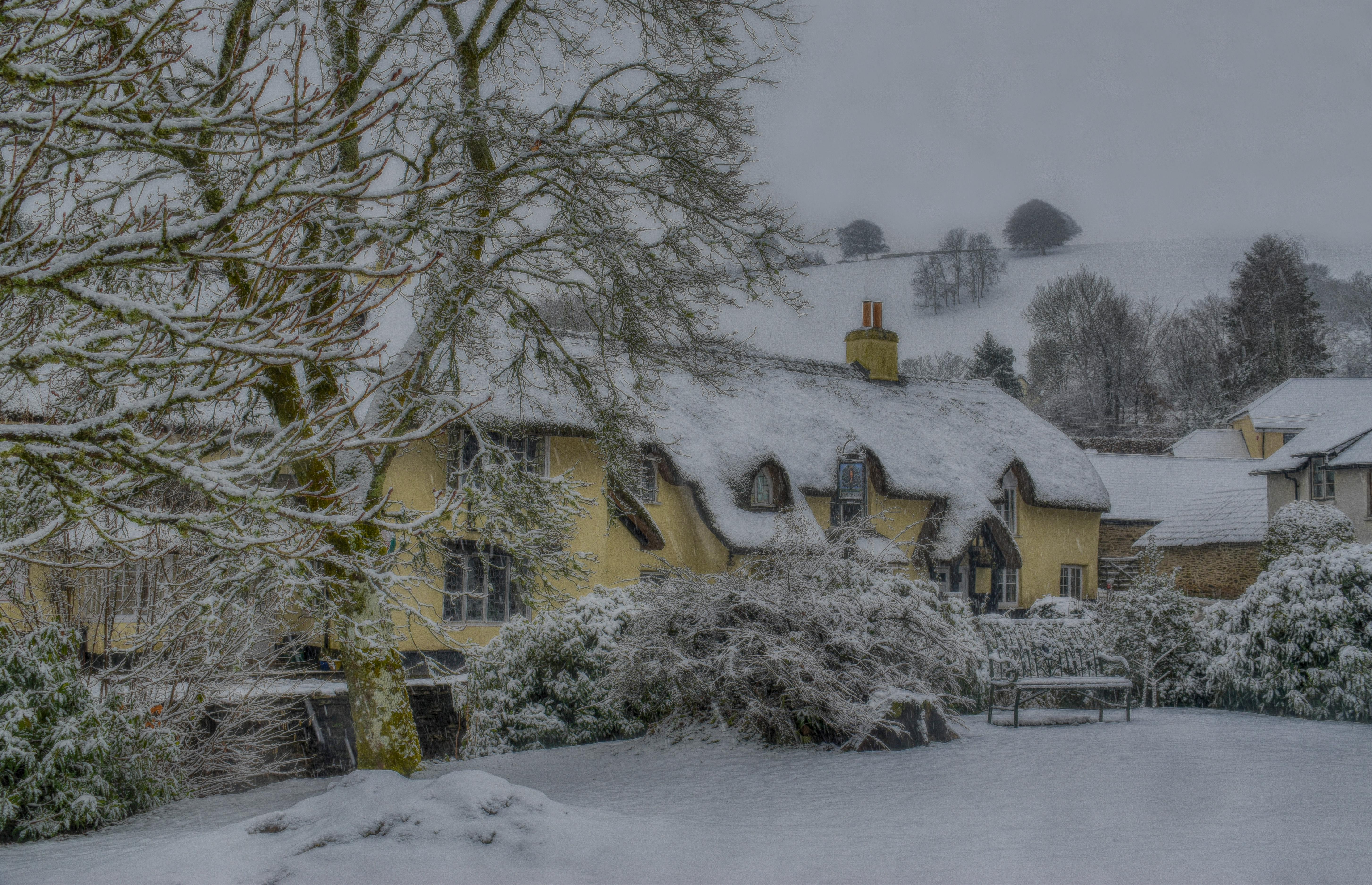 Best Christmas and New Year Deals