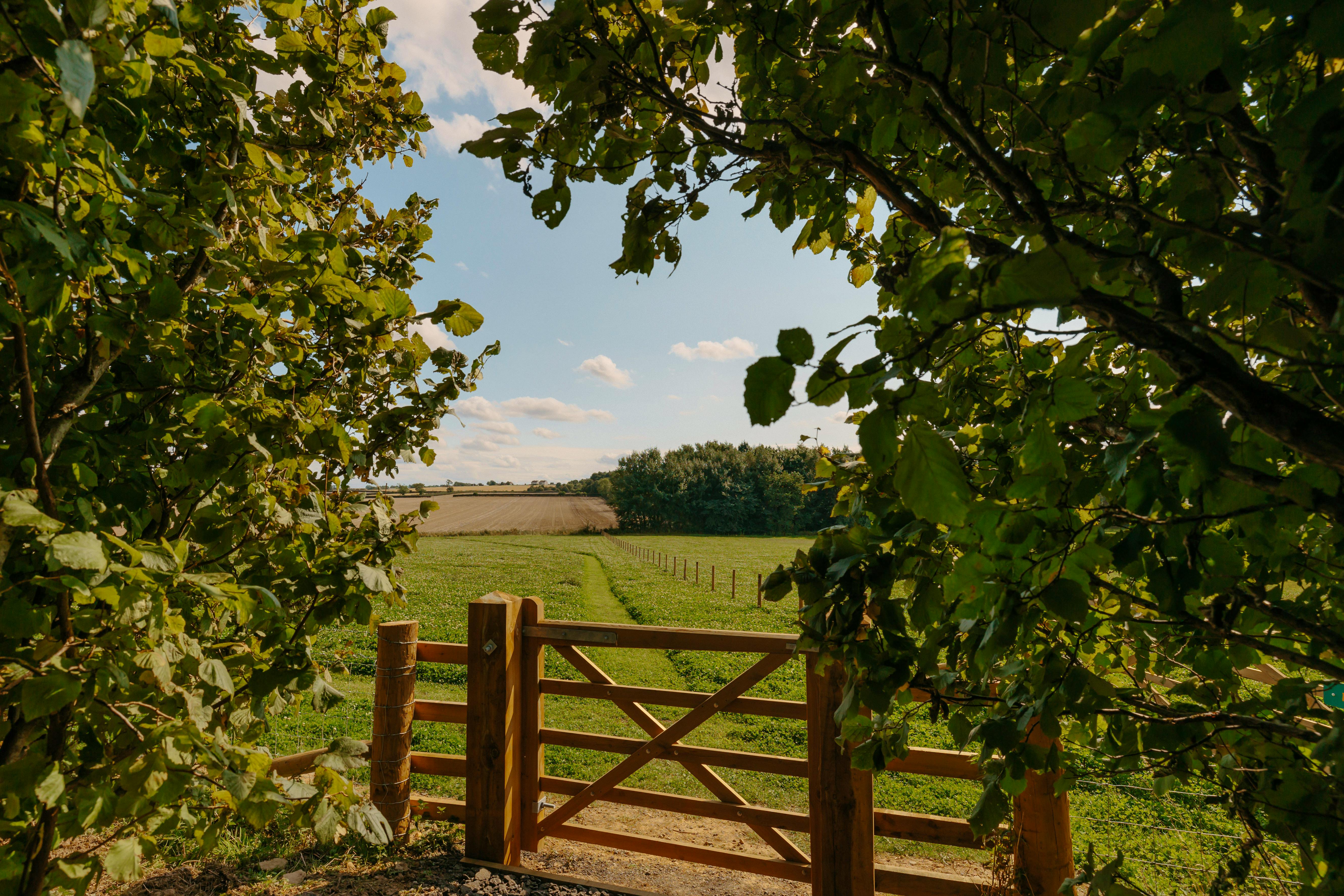 The Field at Hewn Yorkshire