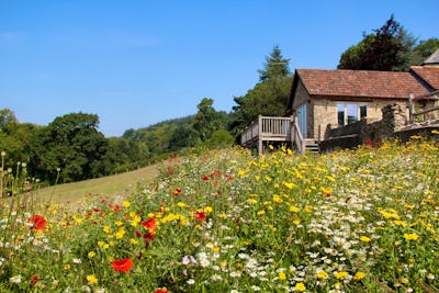 Cottages