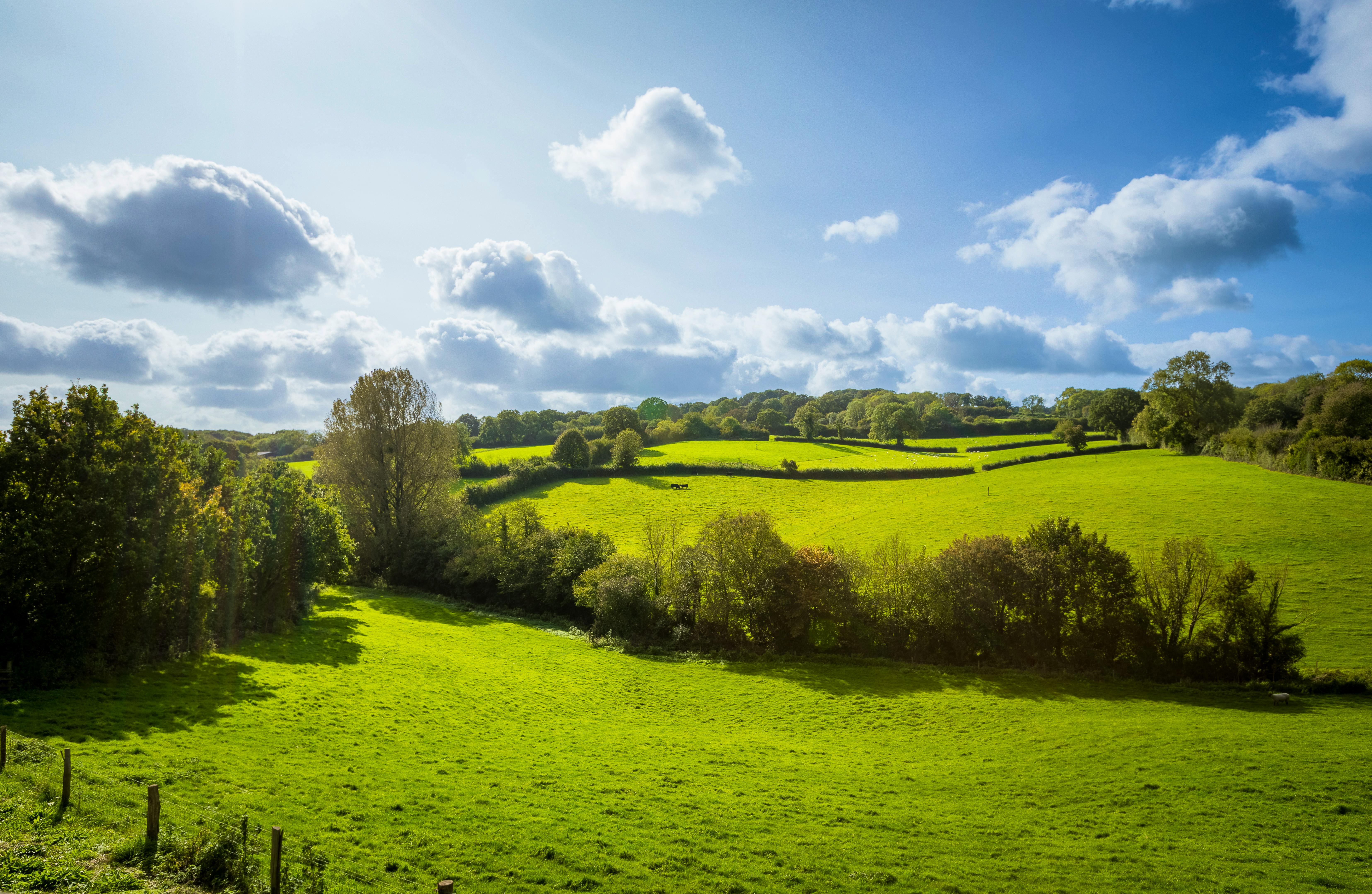 Autumn views across valley
