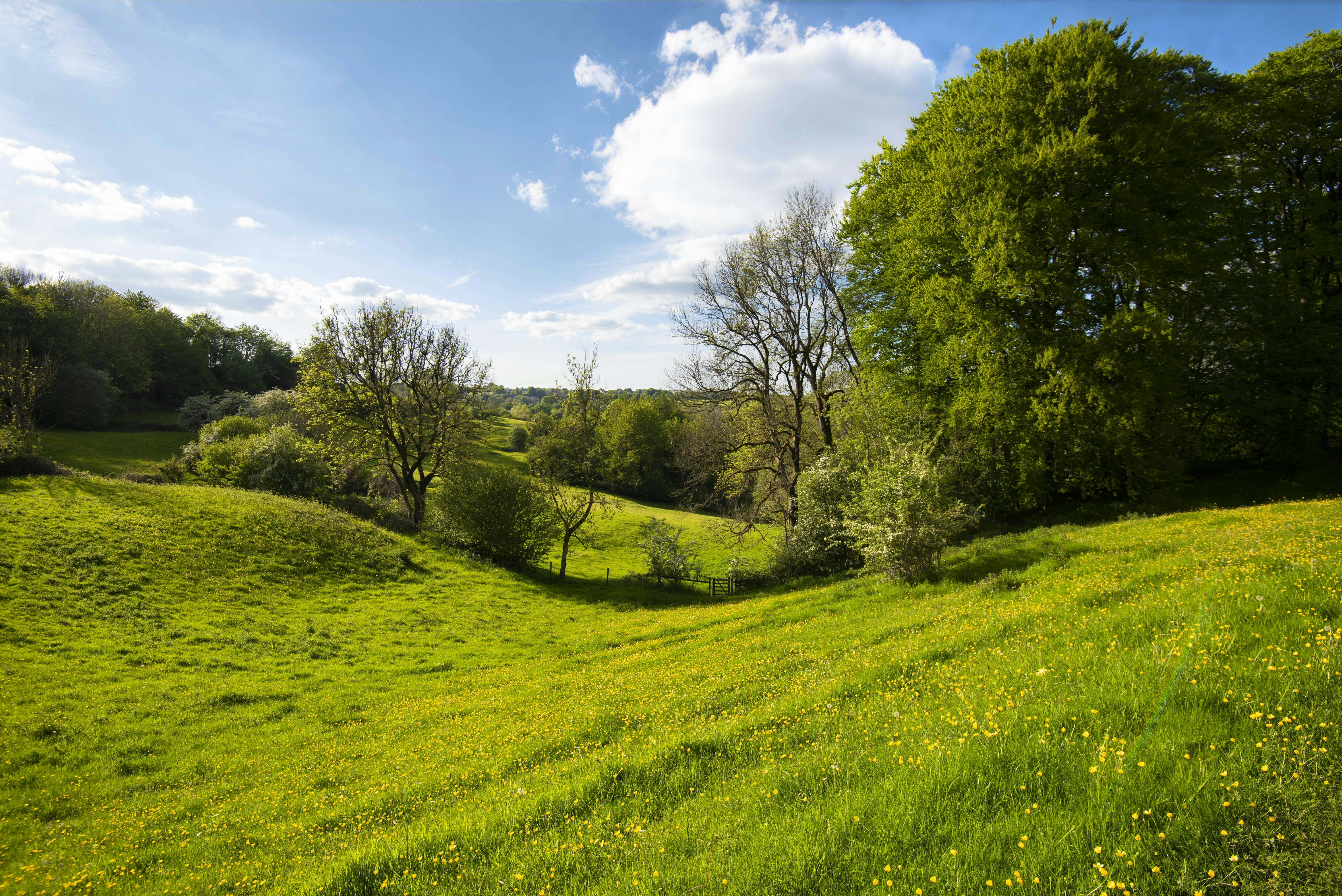 Route across the fields to Arcadia