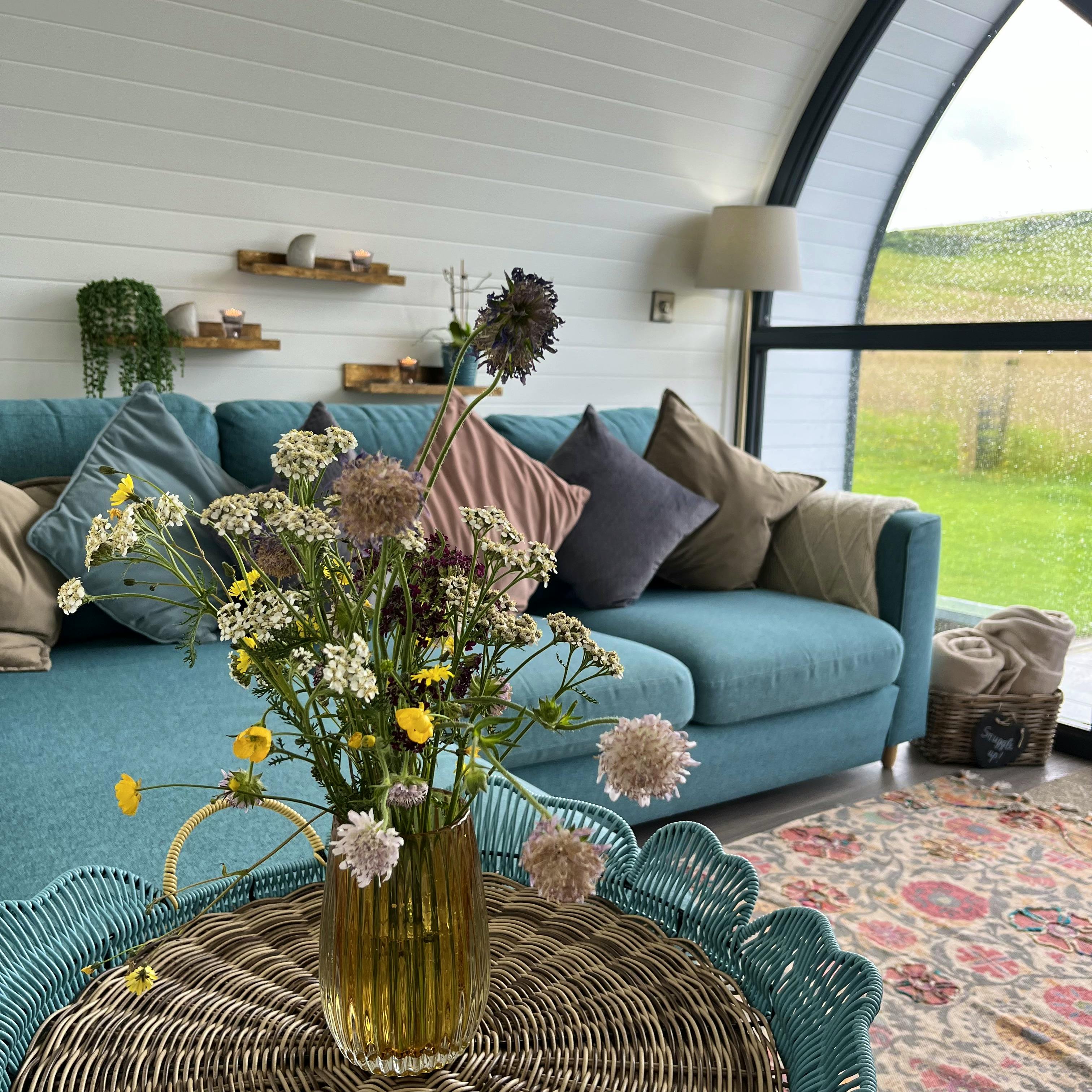 Wild flowers White Clover pod