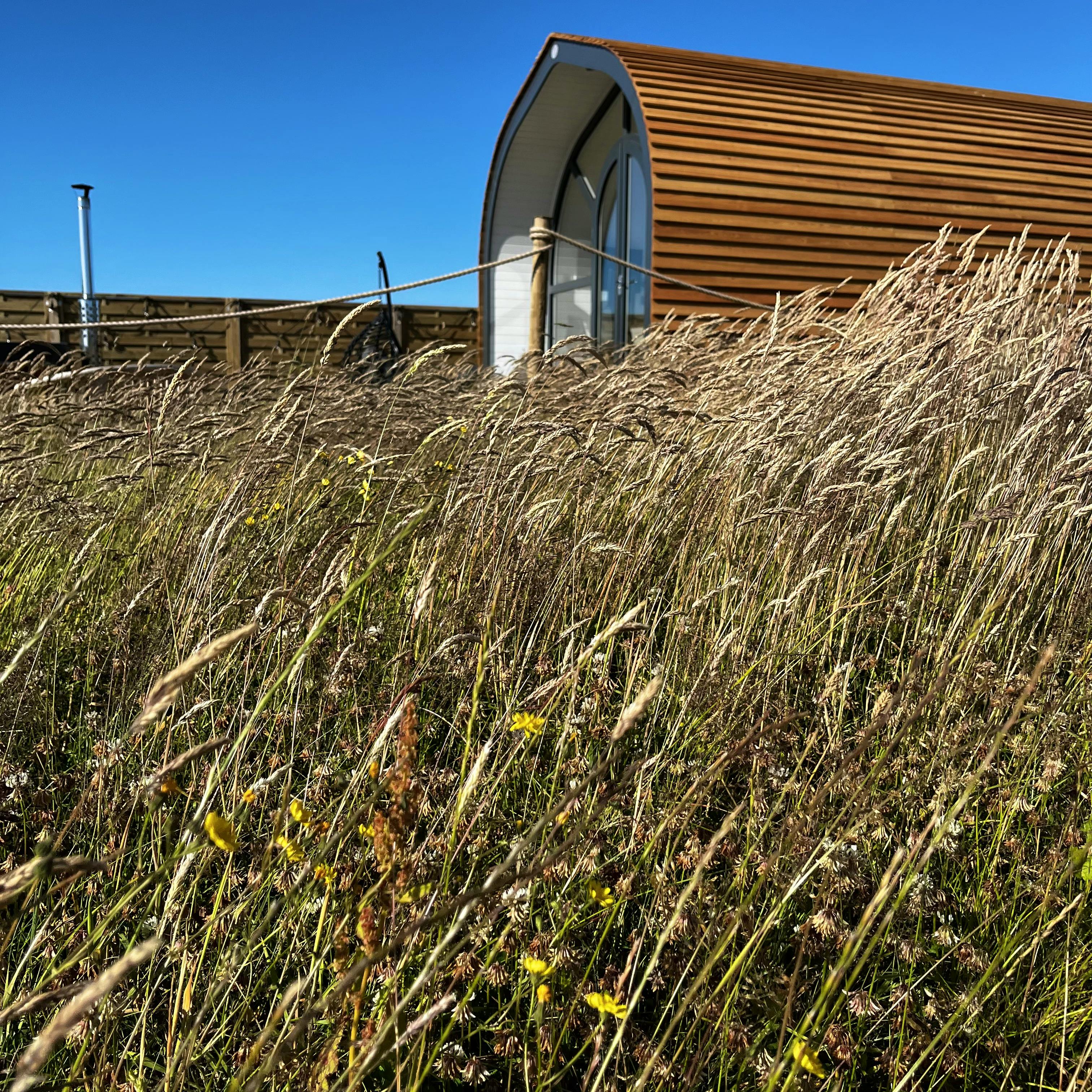 Heather Pod surrounded by meadows