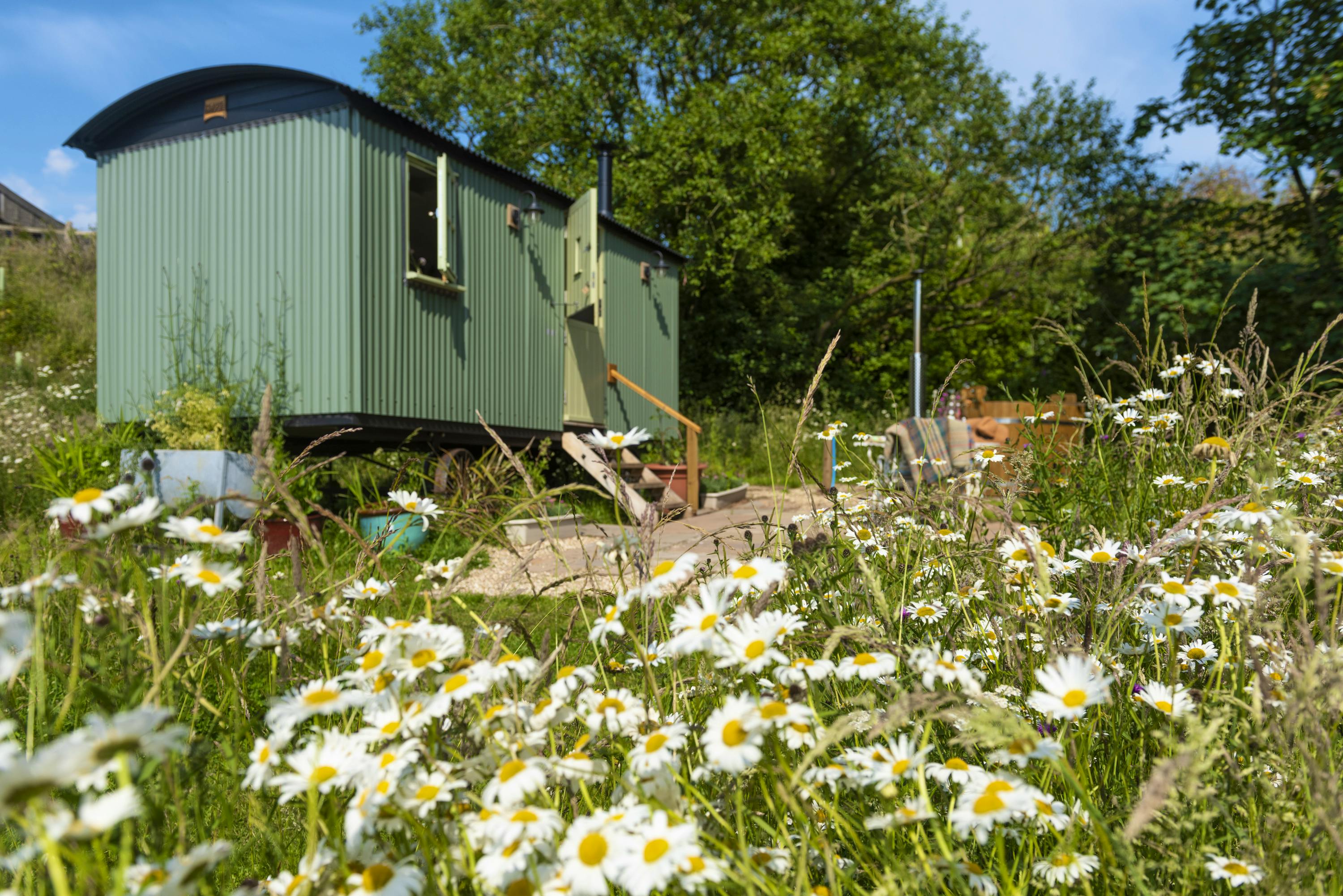 This Week's Best New Finds