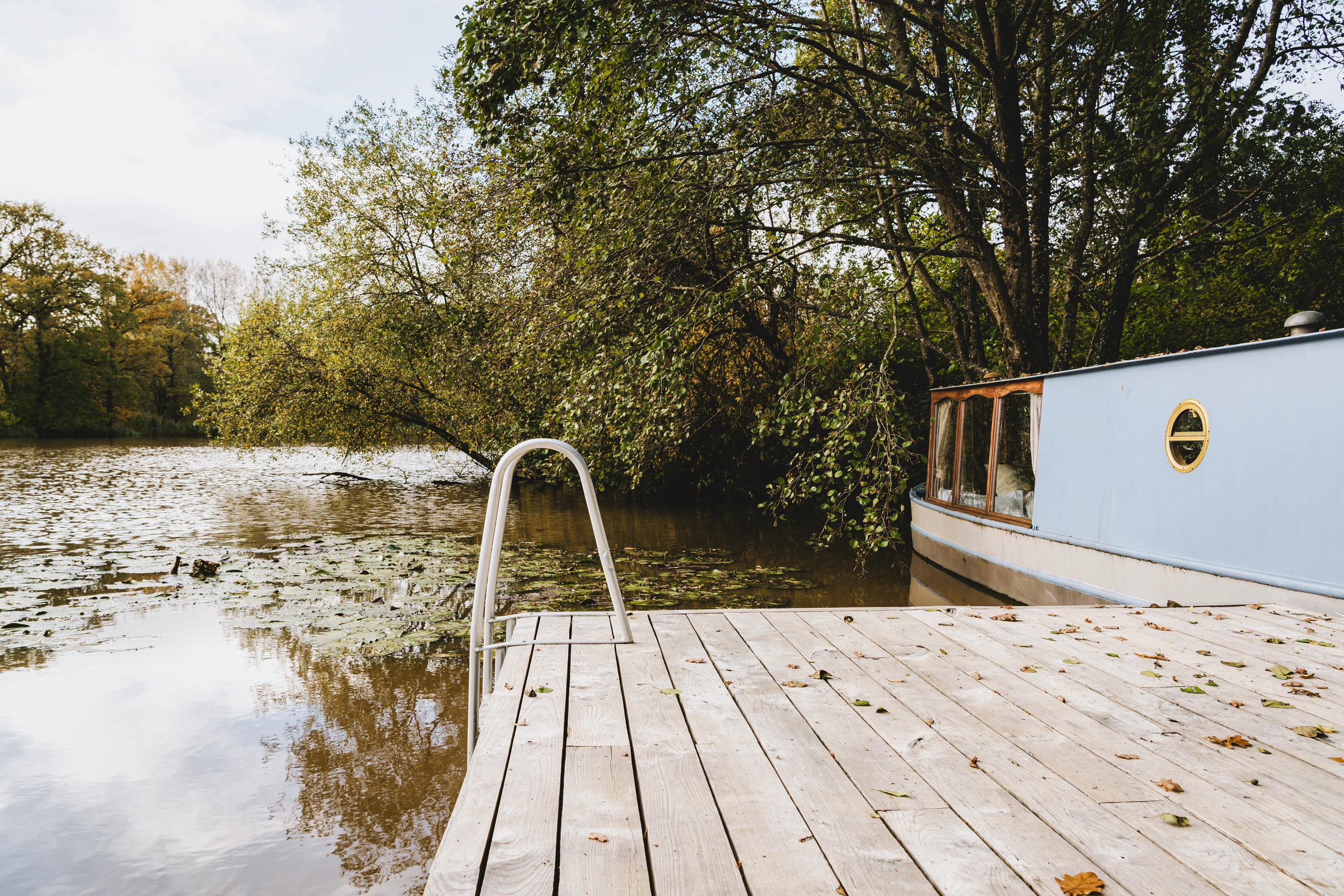 This Week's Best New Finds