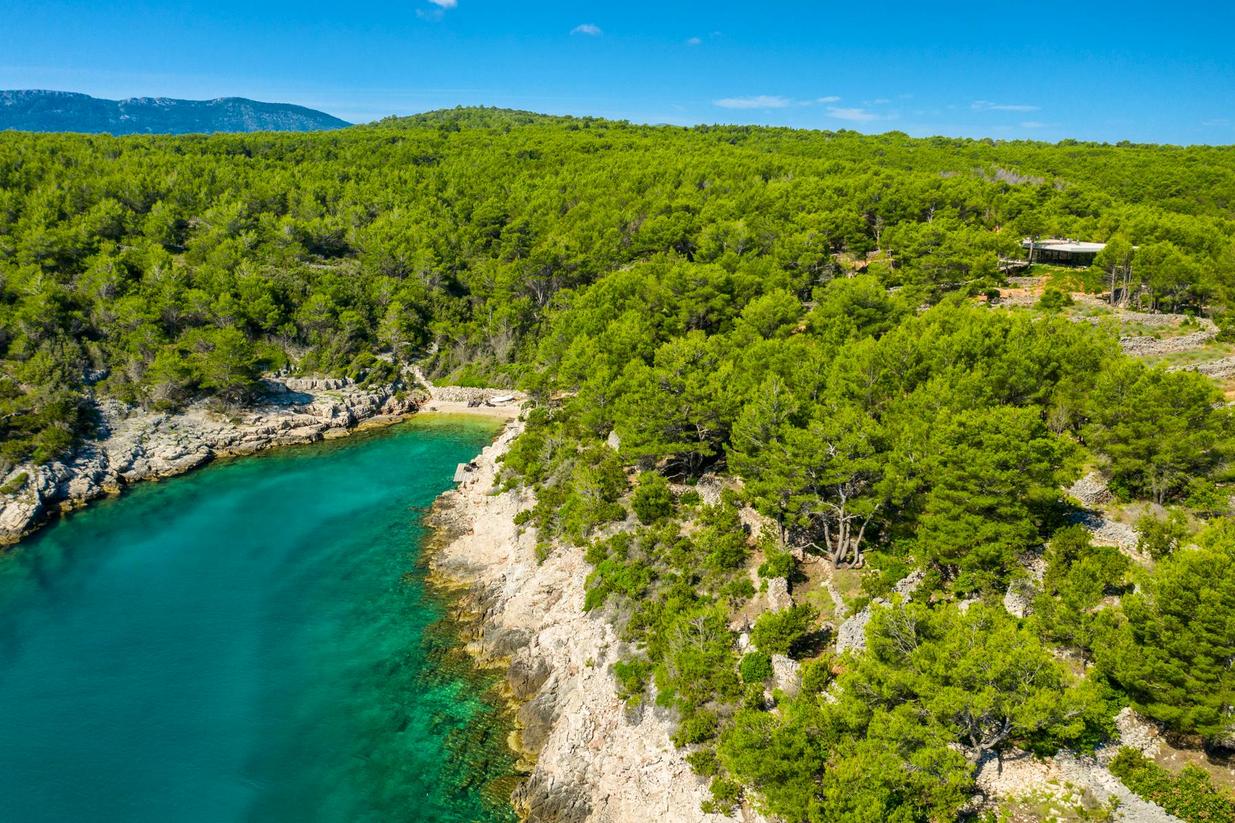 Nid Cache Treehouse - Image 6