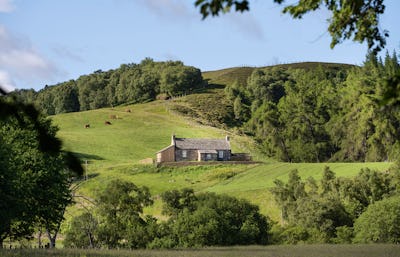 Cottages