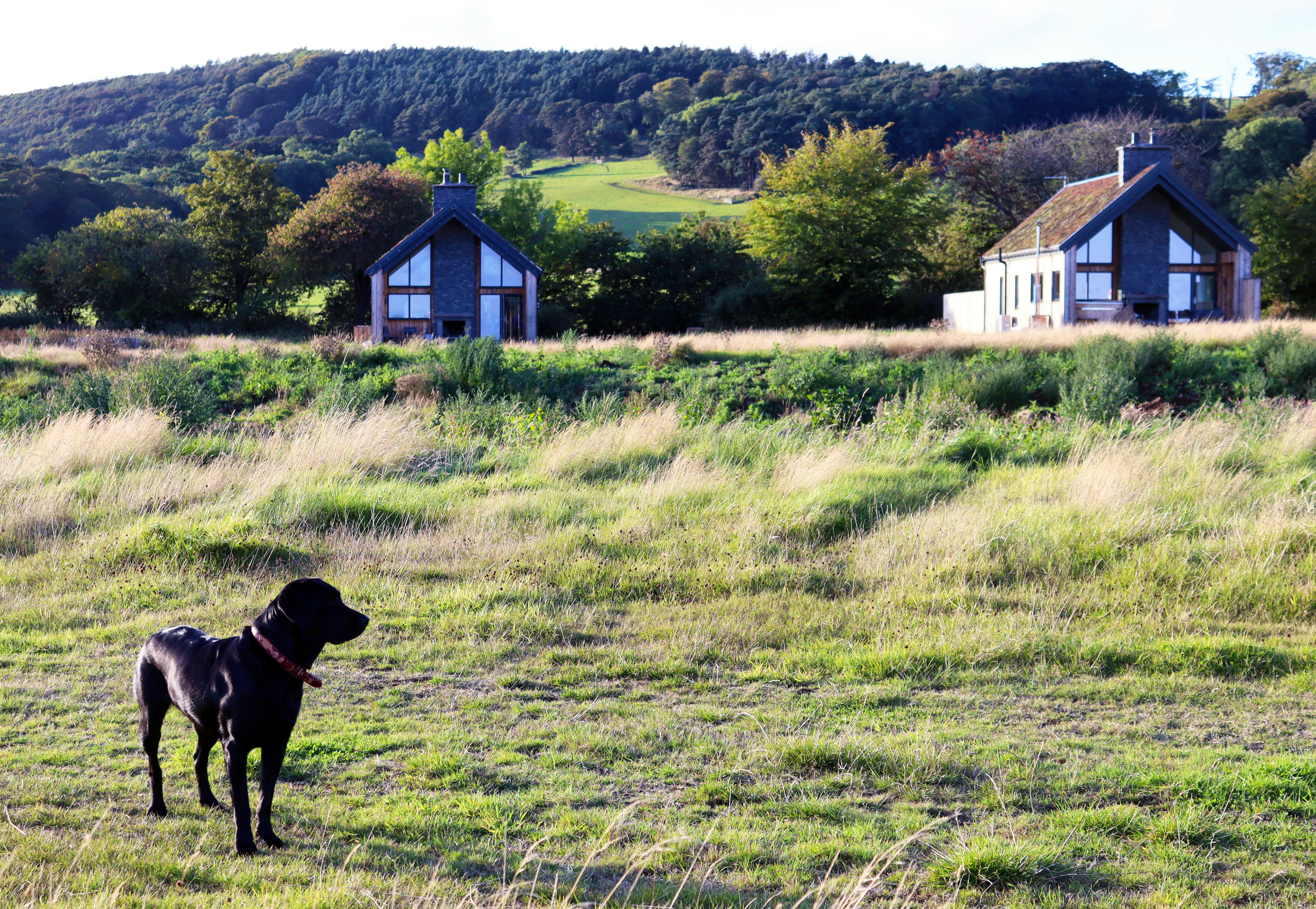 Charleton Estate EcoLodge Stylish home in Fife