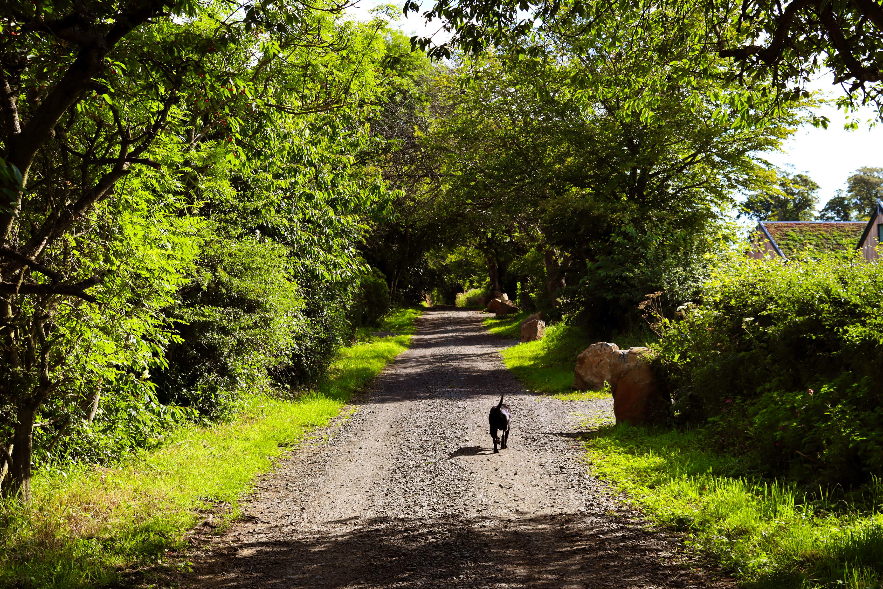 Charleton Estate EcoLodge Stylish home in Fife