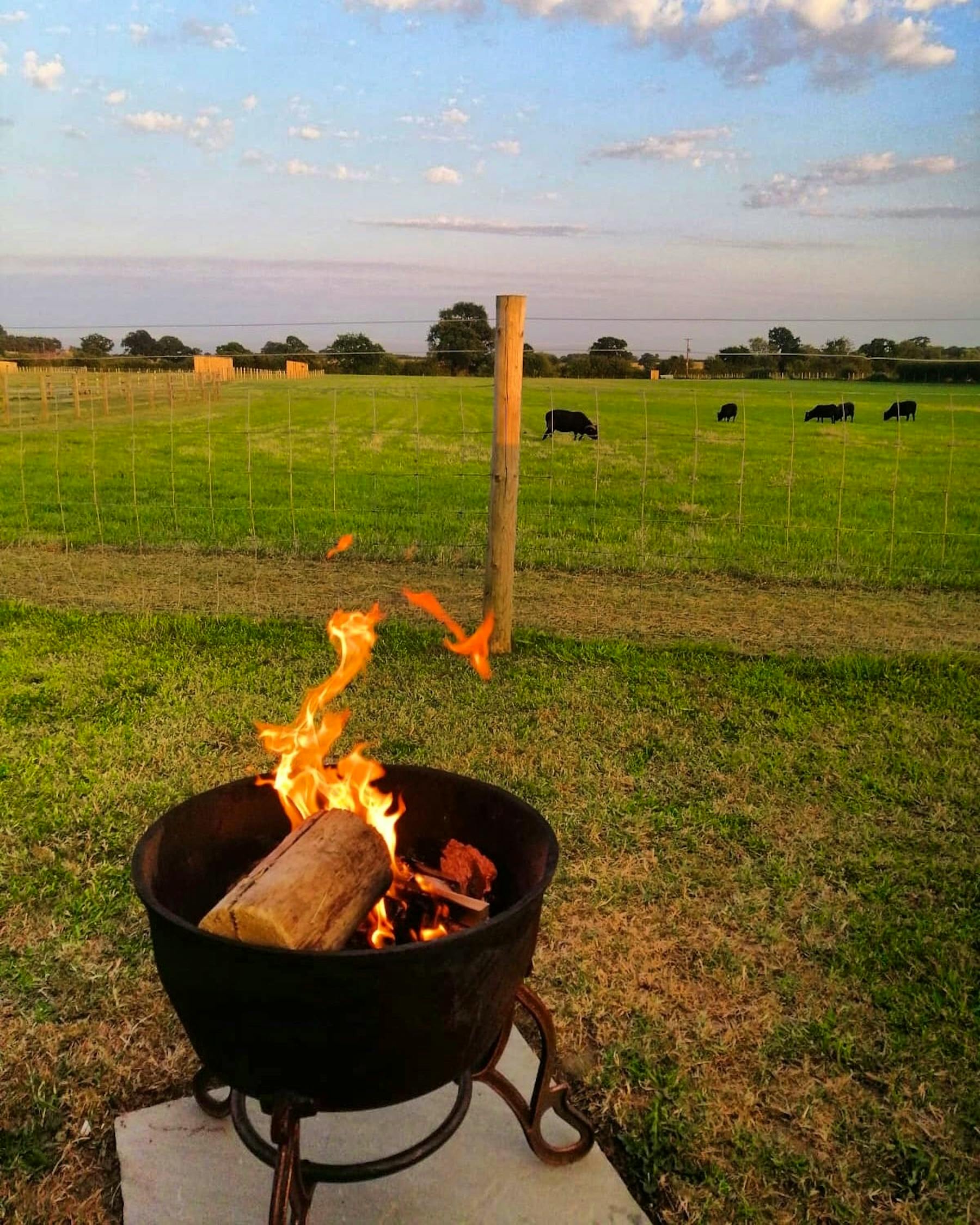 Fire Pit on each hut