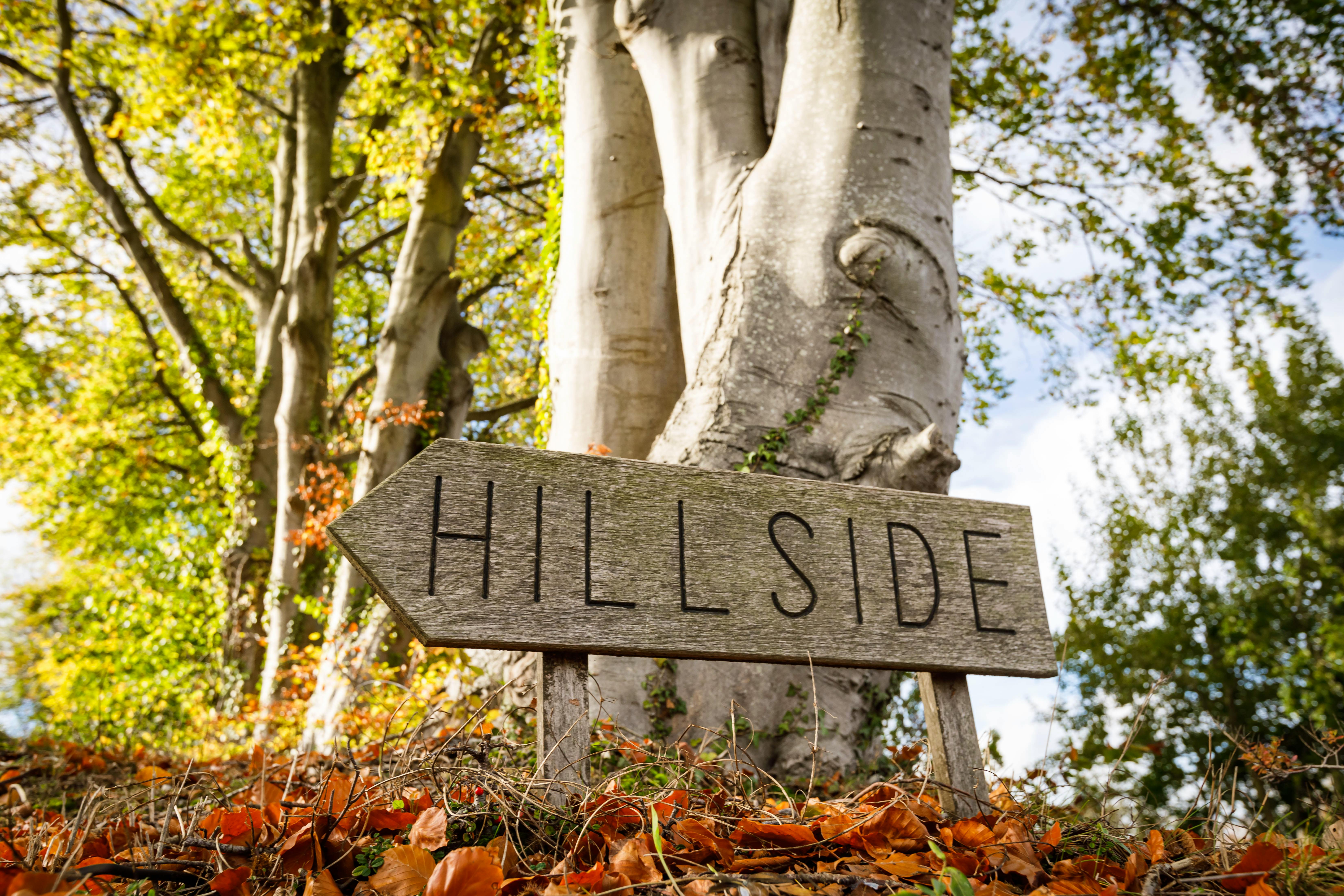 This way to Hillside Cottage