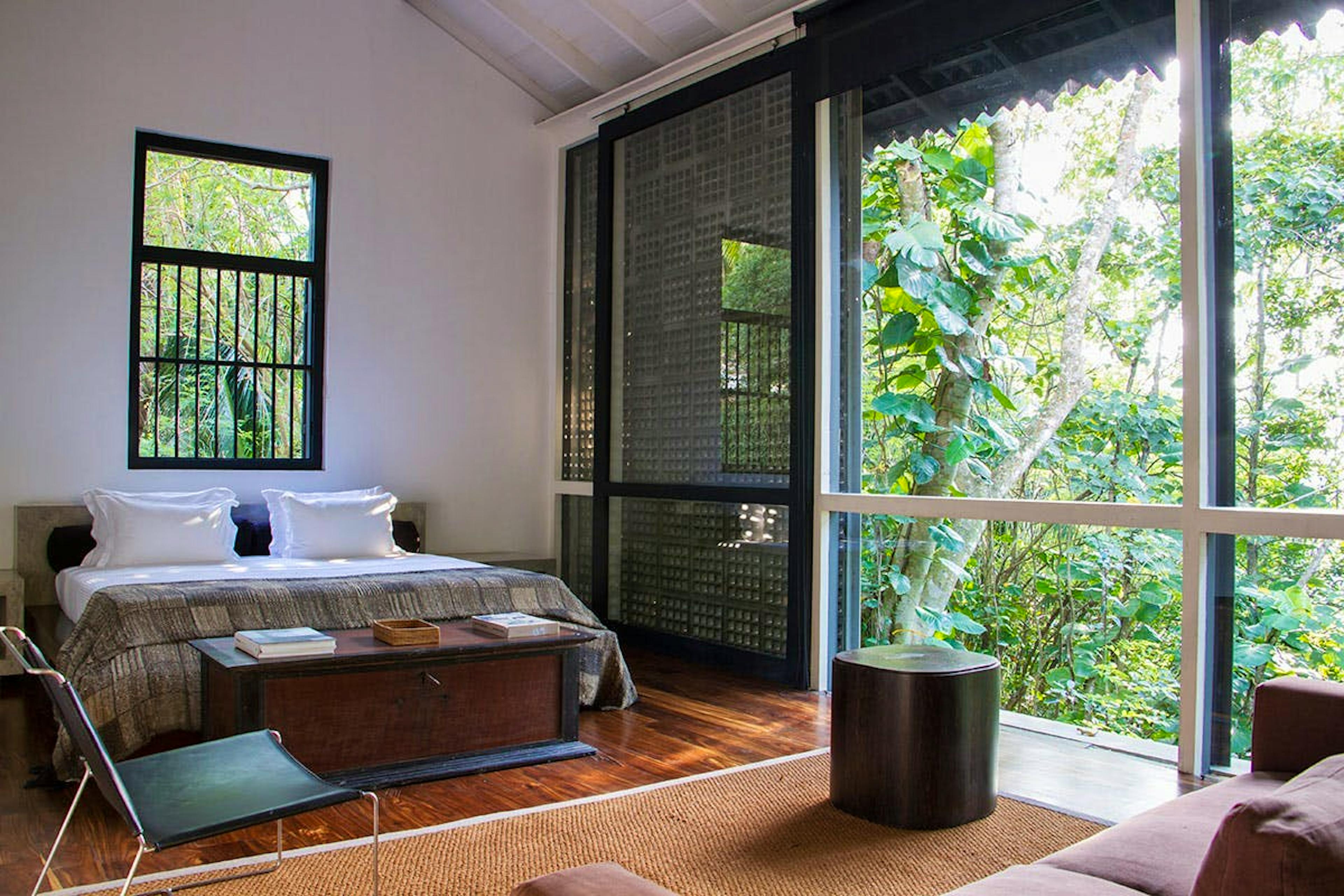 The Blue Dream - Image 2