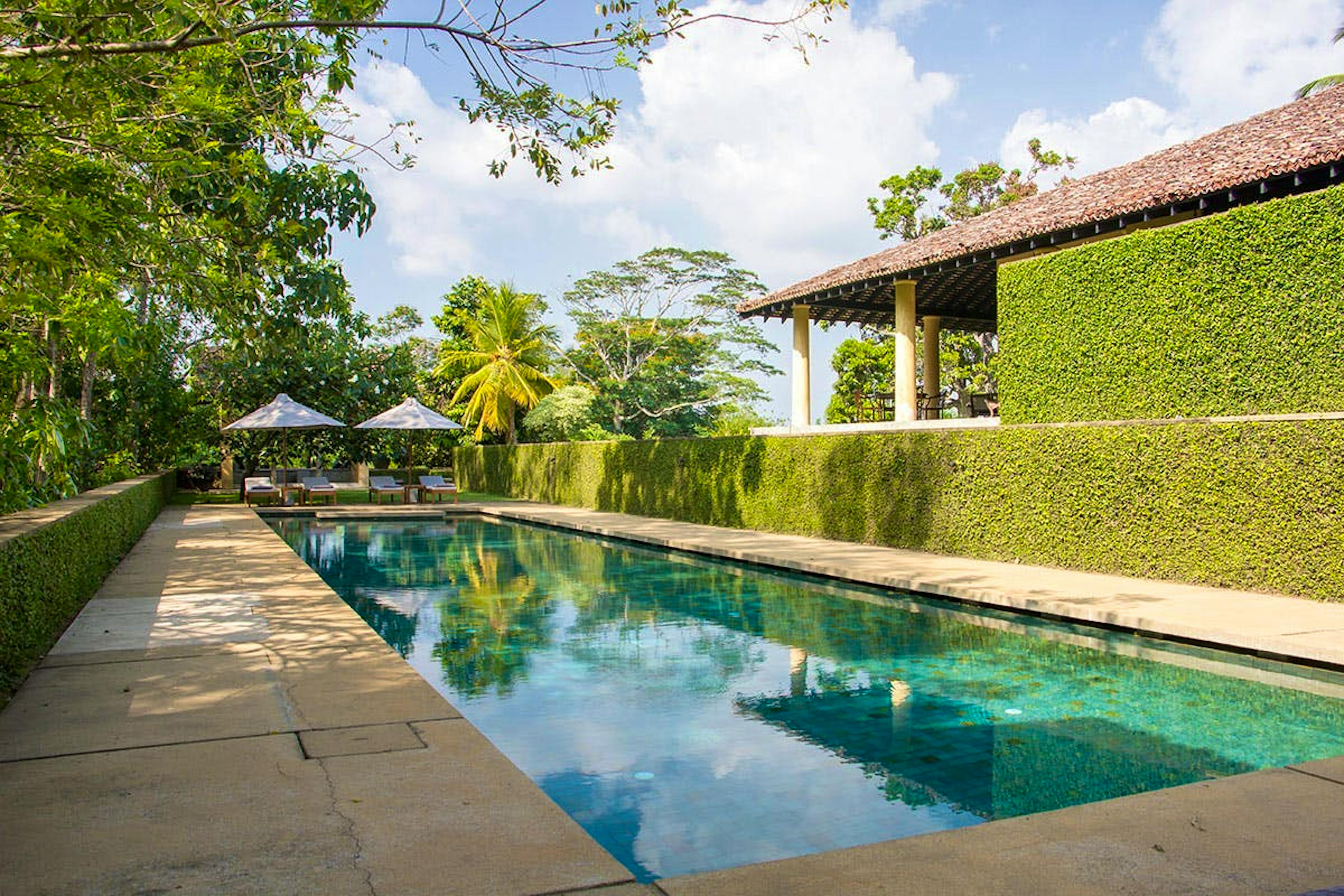 The Blue Dream - Image 1