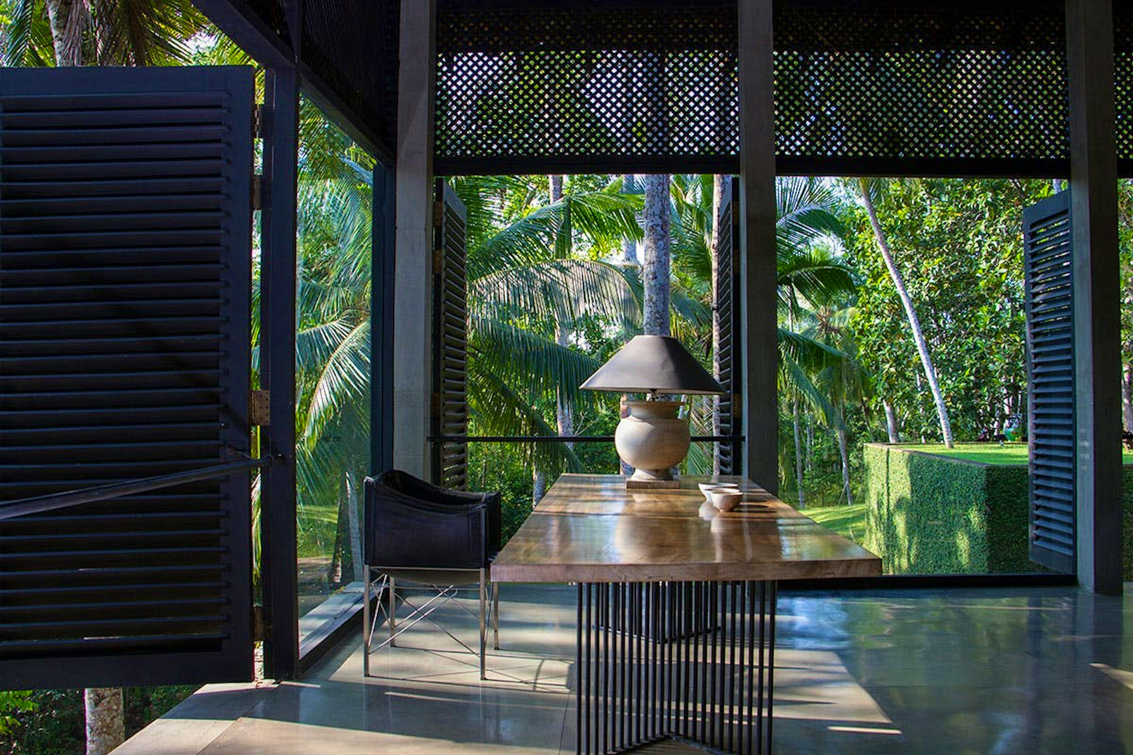 The Blue Dream - Image 5